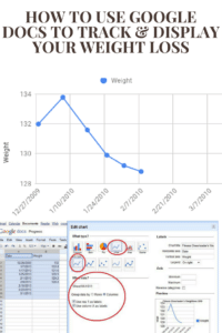 Google Docs Strength Program How to Use Google Docs to Track and Display Your Weight Loss » Salads ...