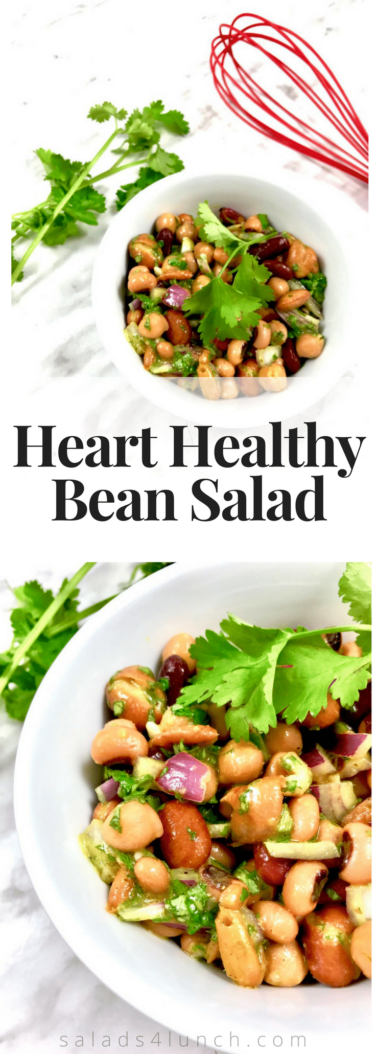 Heart Healthy Mixed Bean Salad » Salads for Lunch