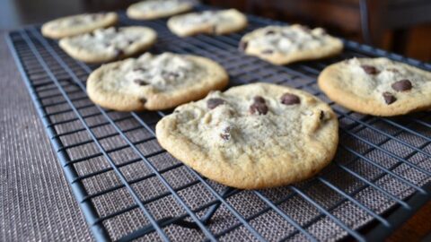 Photo of delicious soft baked chocolate chip cookies cooling in a cooling rack.