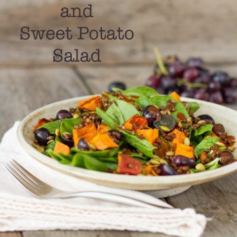 Image for Spicy Lentil and Sweet Potato Salad with Chipotle Vinaigrette Dressing