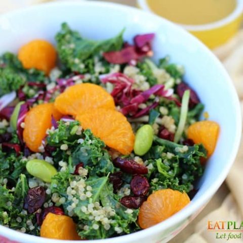 Kale Quinoa Salad 2 2765 - Let’s go keen-wah crazy with this tasty round-up of easy quinoa salad recipes to take to your next potluck! These delicious quinoa salad recipes are gloriously gluten-free with lots of vegetarian options too.