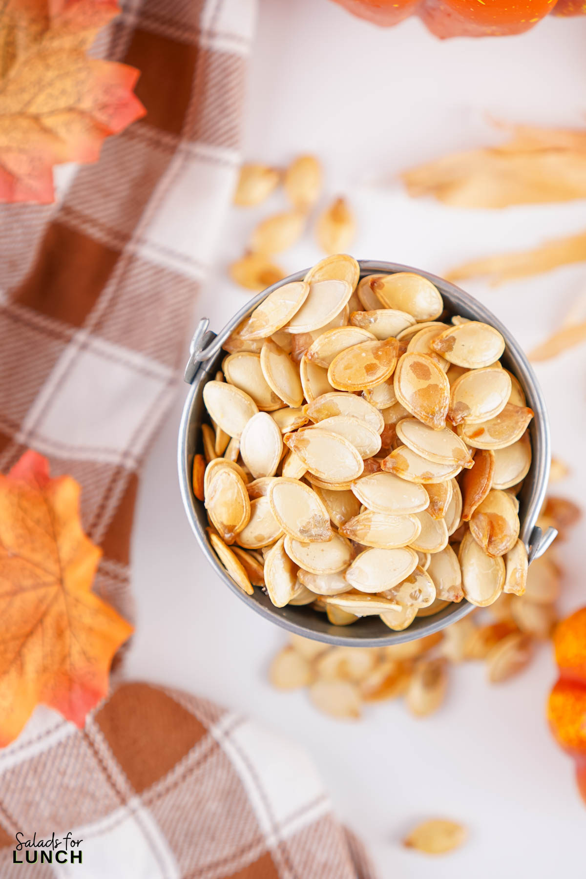 Close up of roasted pumpkin seeds in a small silver bucket.