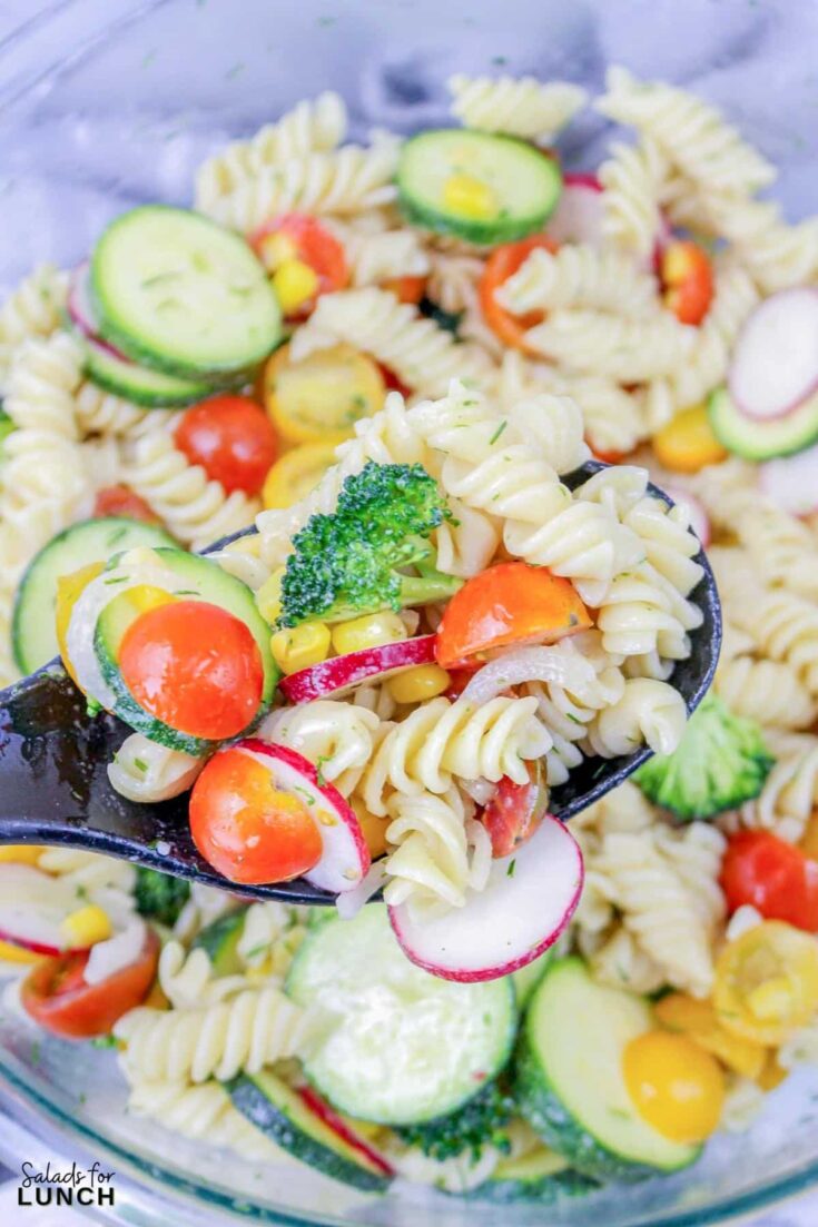 Delicious Summer Vegetable Pasta Salad • Salads for Lunch
