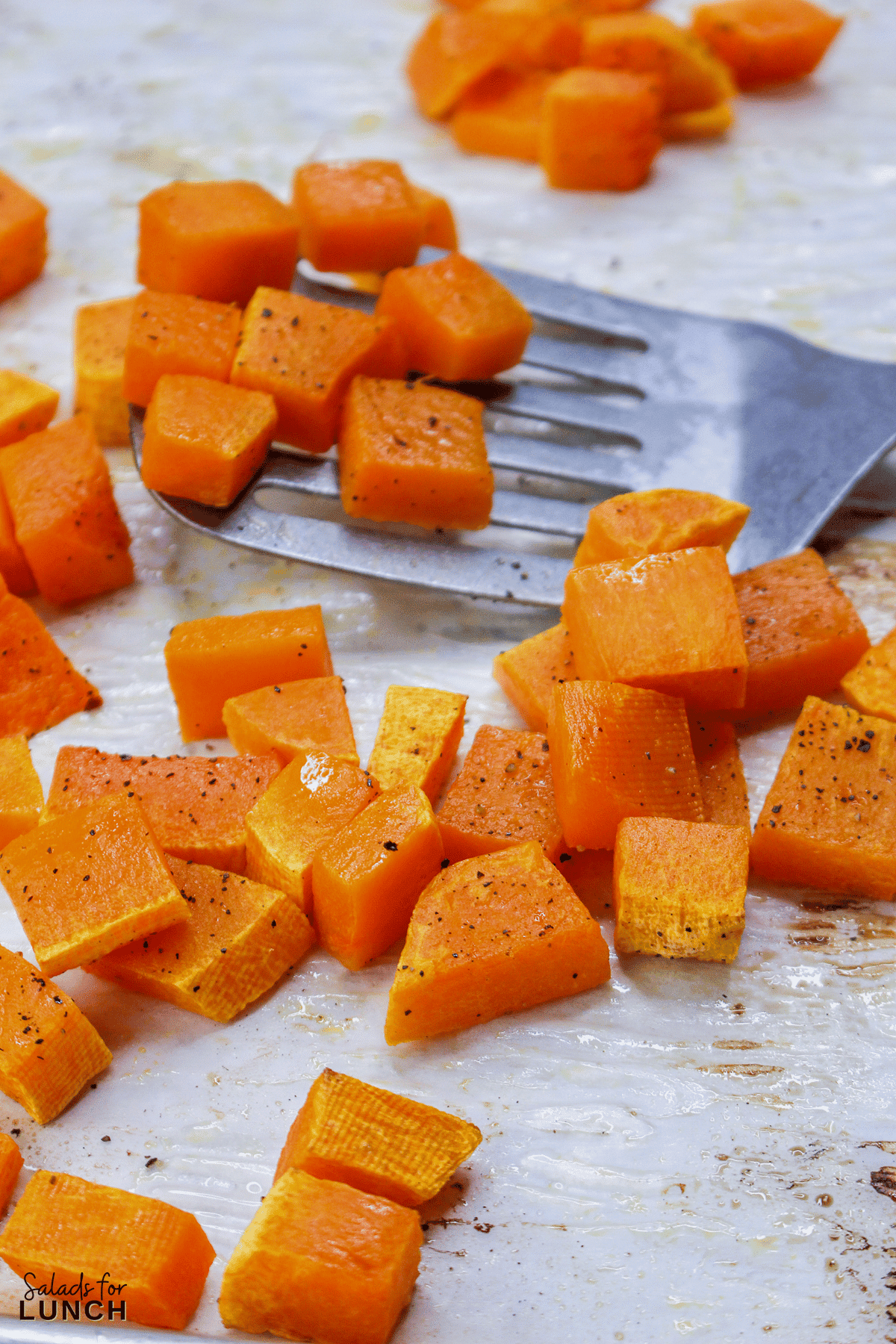 Farro Salad with Roasted Butternut Squash and Cranberries - Roasted Butternut Squash Salad 6 Roasted Butternut Squash Salad 6 - If youโre looking for a cozy and healthy fall salad recipe thatโs perfect for cooler days, this Farro Salad with Roasted Butternut Squash and Cranberries is the one to make! Itโs packed with warm, nutty farro, tender roasted butternut squash, tangy cranberries, and a maple Dijon vinaigrette that ties everything together beautifully. Itโs hearty enough to serve as a main dish yet light enough to enjoy as a side.