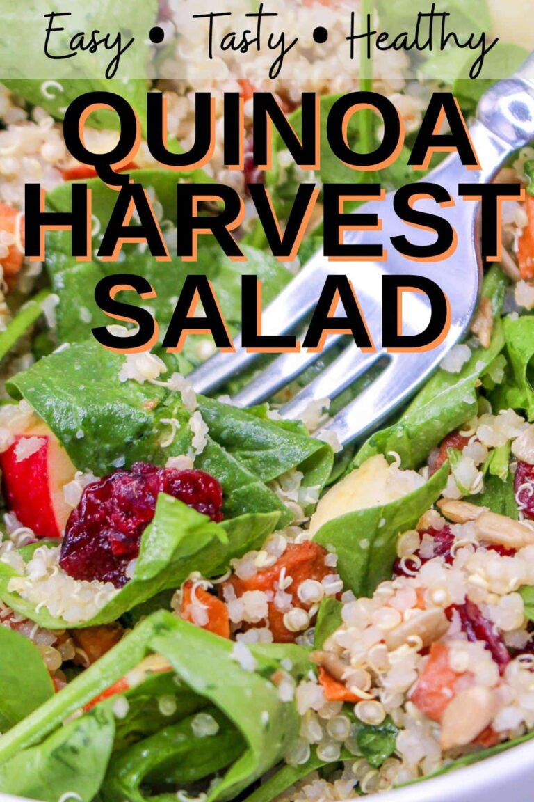 Hearty Fall Harvest Quinoa Salad 🍂 Salads for Lunch