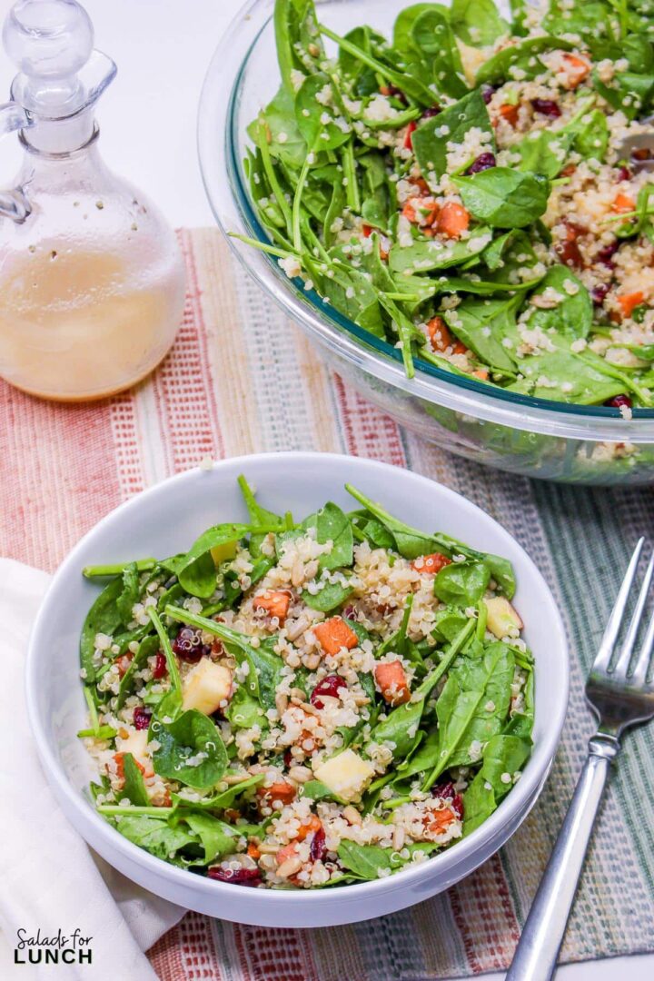 Hearty Fall Harvest Quinoa Salad 🍂 Salads for Lunch