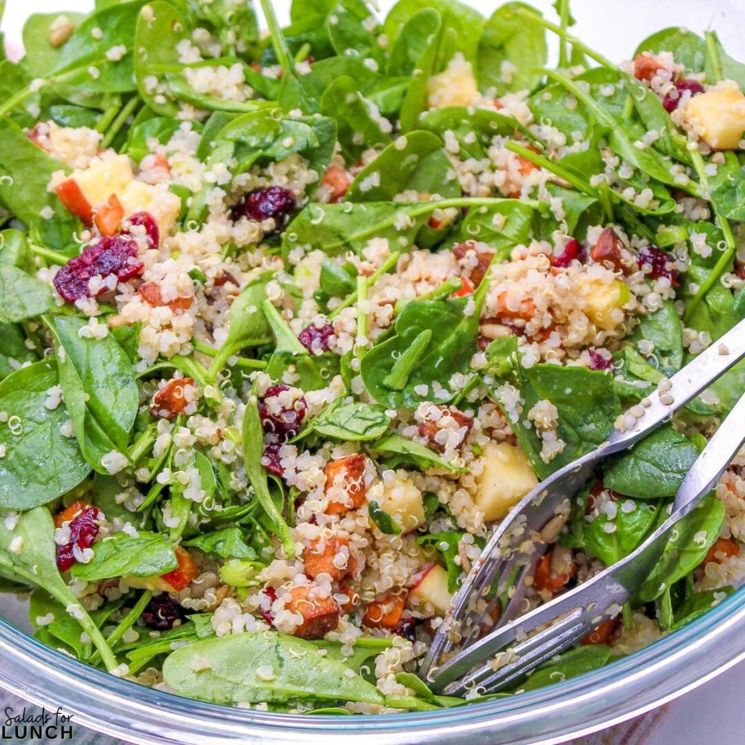 Hearty Fall Harvest Quinoa Salad 🍂 Salads for Lunch