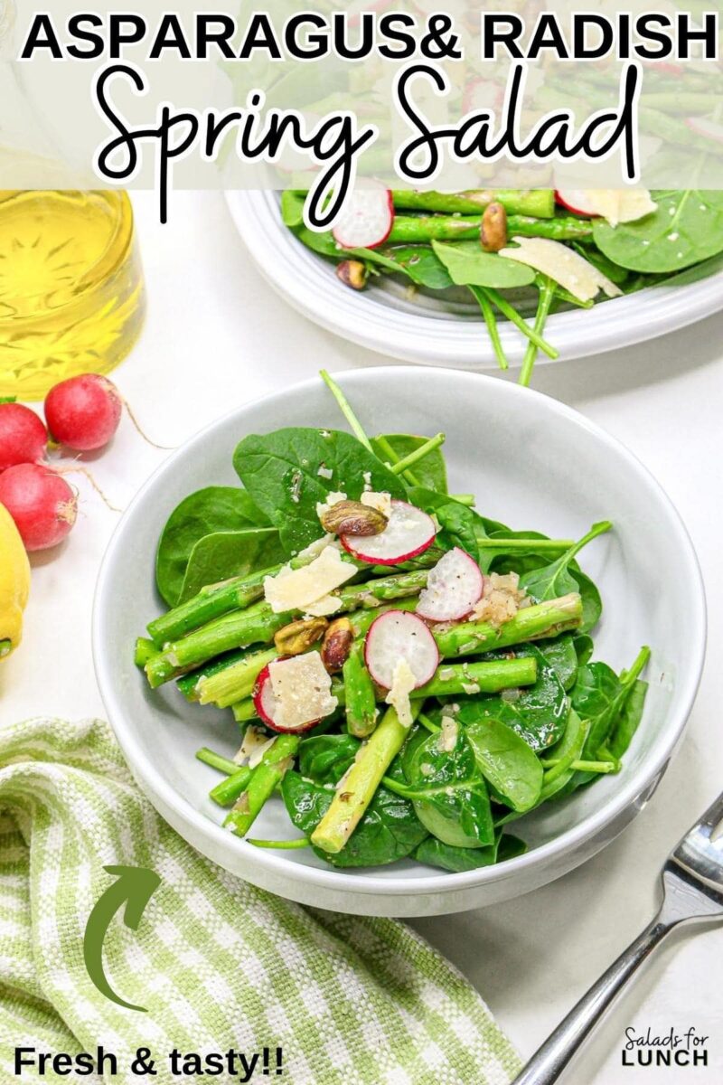 Spring Green Salad with Asparagus and Radishes Salads for Lunch