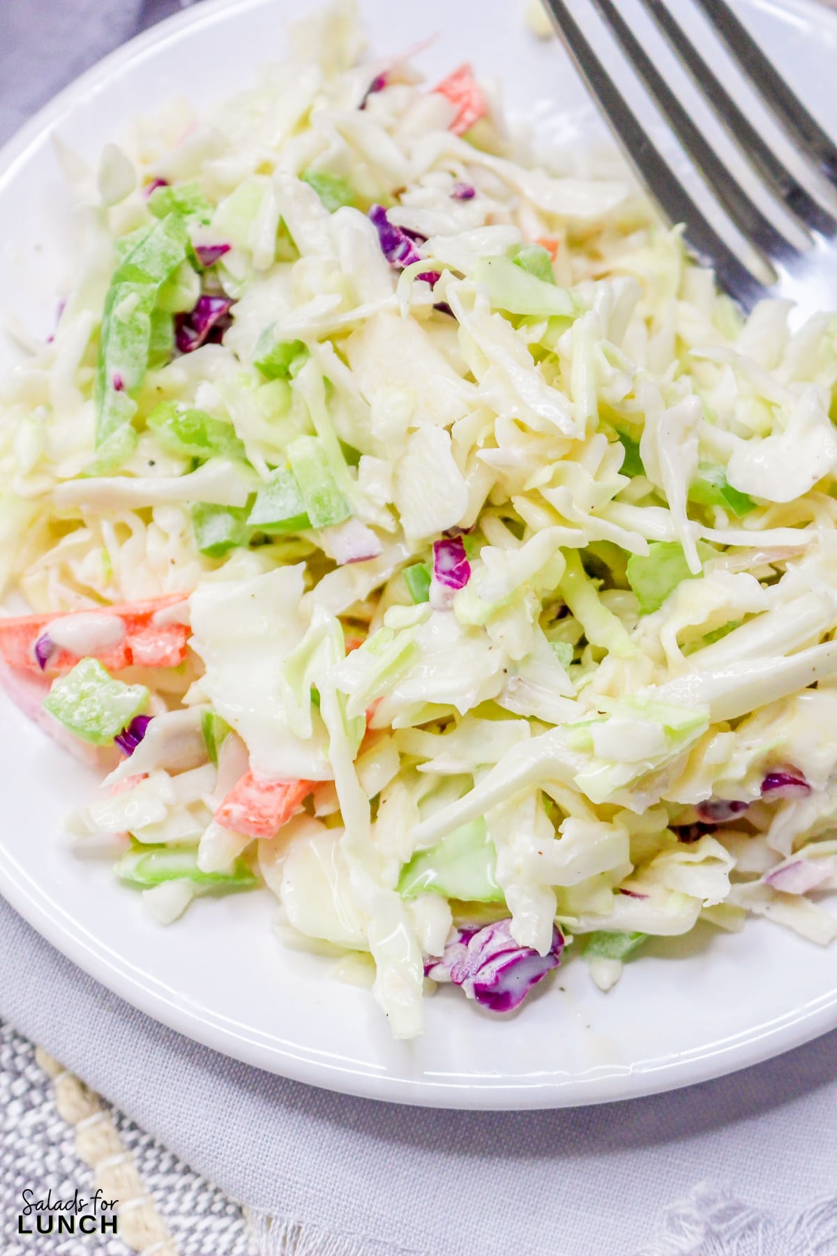 Best Ever Classic Coleslaw Salad Recipe 14 - This is the kind of traditional creamy coleslaw recipe from scratch that works for everything—weeknight dinners, backyard BBQs, or tossing on top of sandwiches. If you’ve never made coleslaw before, don’t worry. This simple creamy coleslaw recipe for beginners is super forgiving and uses everyday ingredients you probably already have on hand.