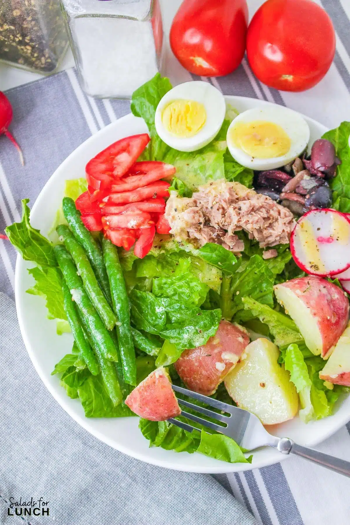 Classic French Tuna Nicoise Salad with Dijon Dressing
