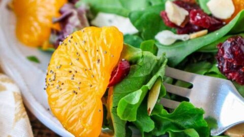 Cranberry and Mandarin Orange Salad with Orange Poppy Seed Dressing Recipe