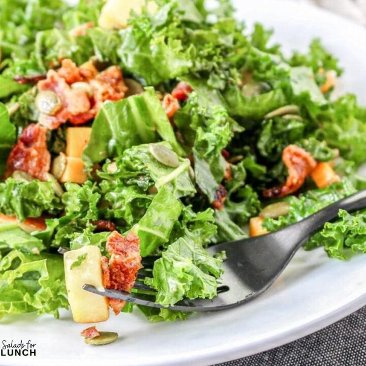 Kale and Apple Salad Recipe - Give these 24 healthy winter salads to make in January a try. Each one is made with fresh seasonal produce to nourish and keep you healthy all winter long.