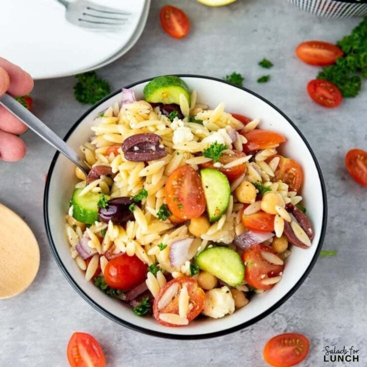 Greek Orzo Pasta Salad  Don't Go Bacon My Heart