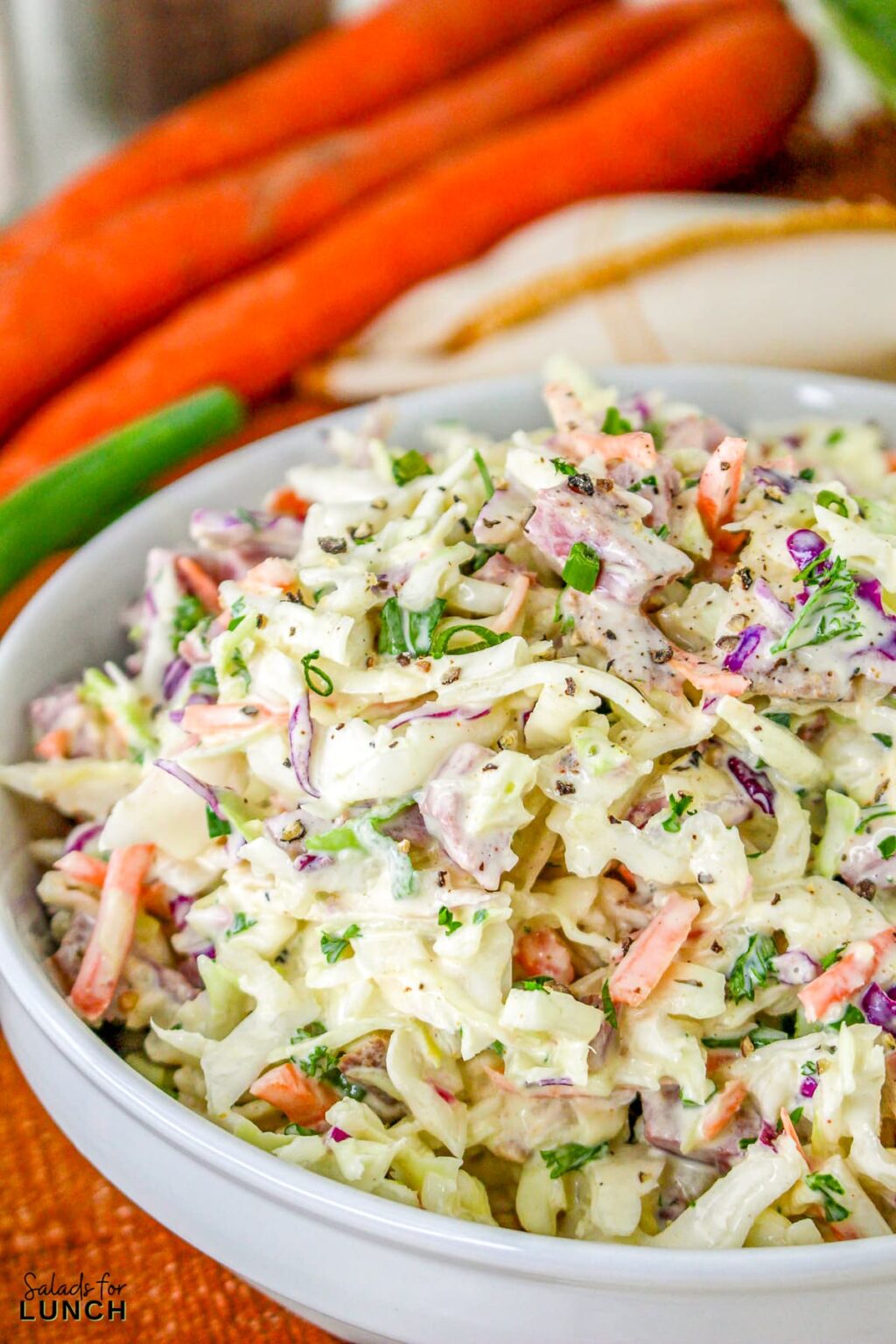 Corned Beef Coleslaw • Salads for Lunch