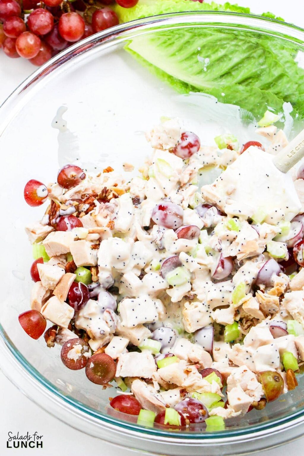 Sonoma Chicken Salad Recipe : Easy Creamy Grapes and Pecans Version