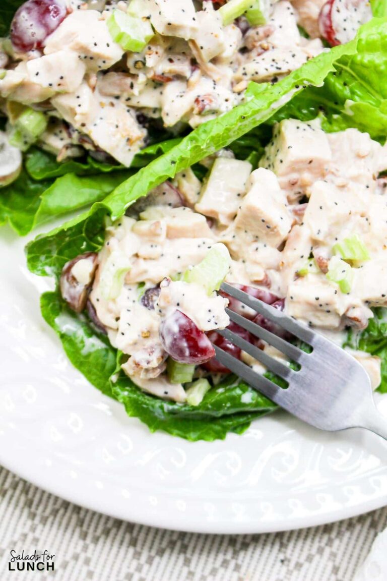 Delicious Sonoma Chicken Salad Recipe Perfect for Lunch