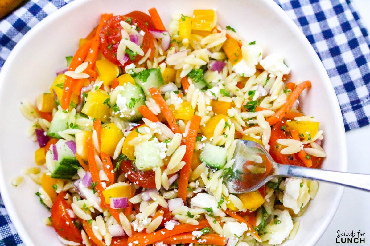 Rainbow Orzo Salad - Rainbow Orzo Salad Recipe 25 Rainbow orzo salad recipe with lemon dressing in a white bowl.