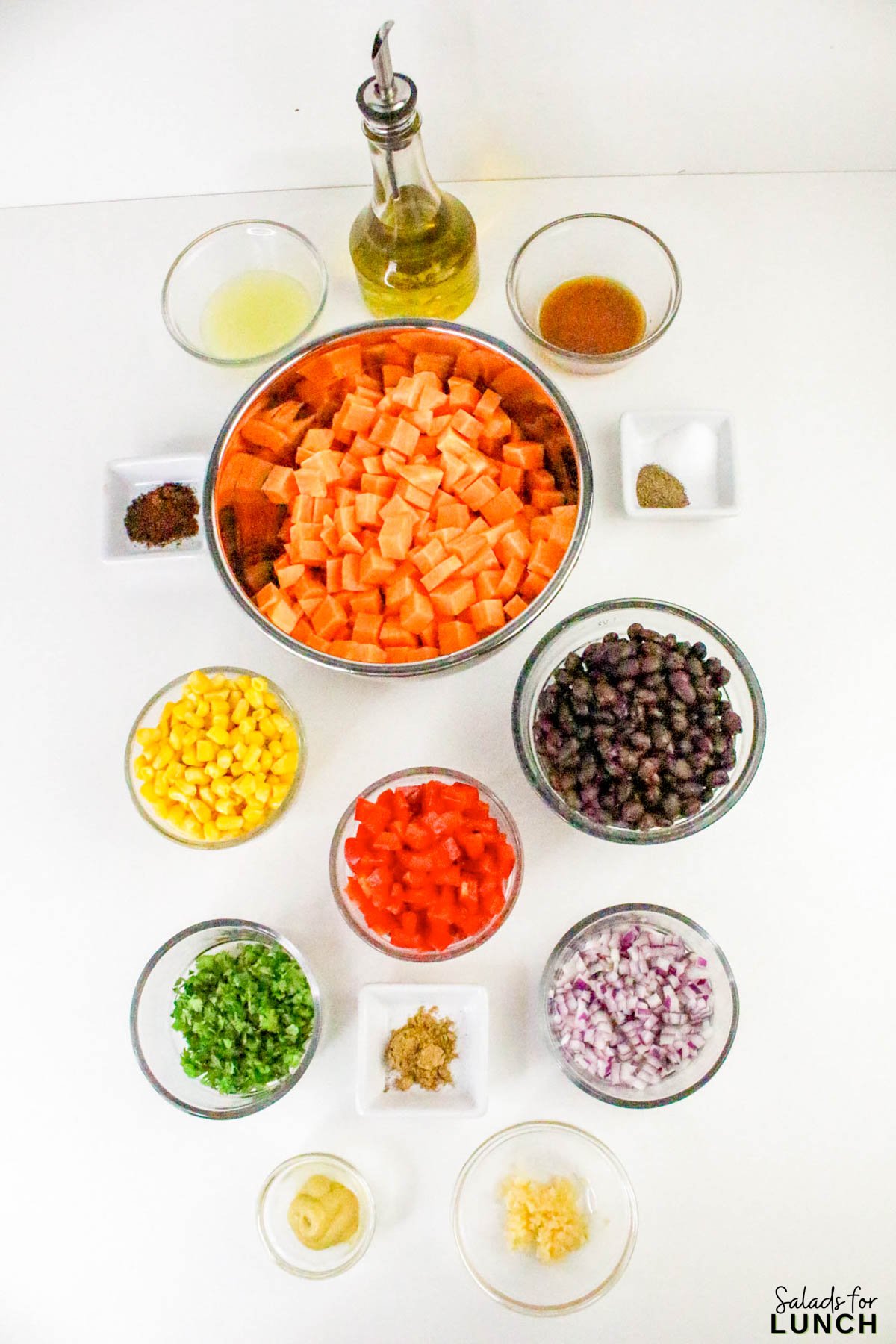 Southwestern Sweet Potato Salad 1 - This easy Southwestern Sweet Potato Salad is full of bright, bold flavors and cozy roasted sweet potatoes that’ll keep you coming back for more. It’s got all the Tex-Mex goodness—corn, black beans, red pepper, cilantro, and a zippy lime dressing that ties everything together. Whether you serve it warm or chill it for later, it makes a tasty and healthy salad that’s perfect for meal prep, picnics, or potlucks.