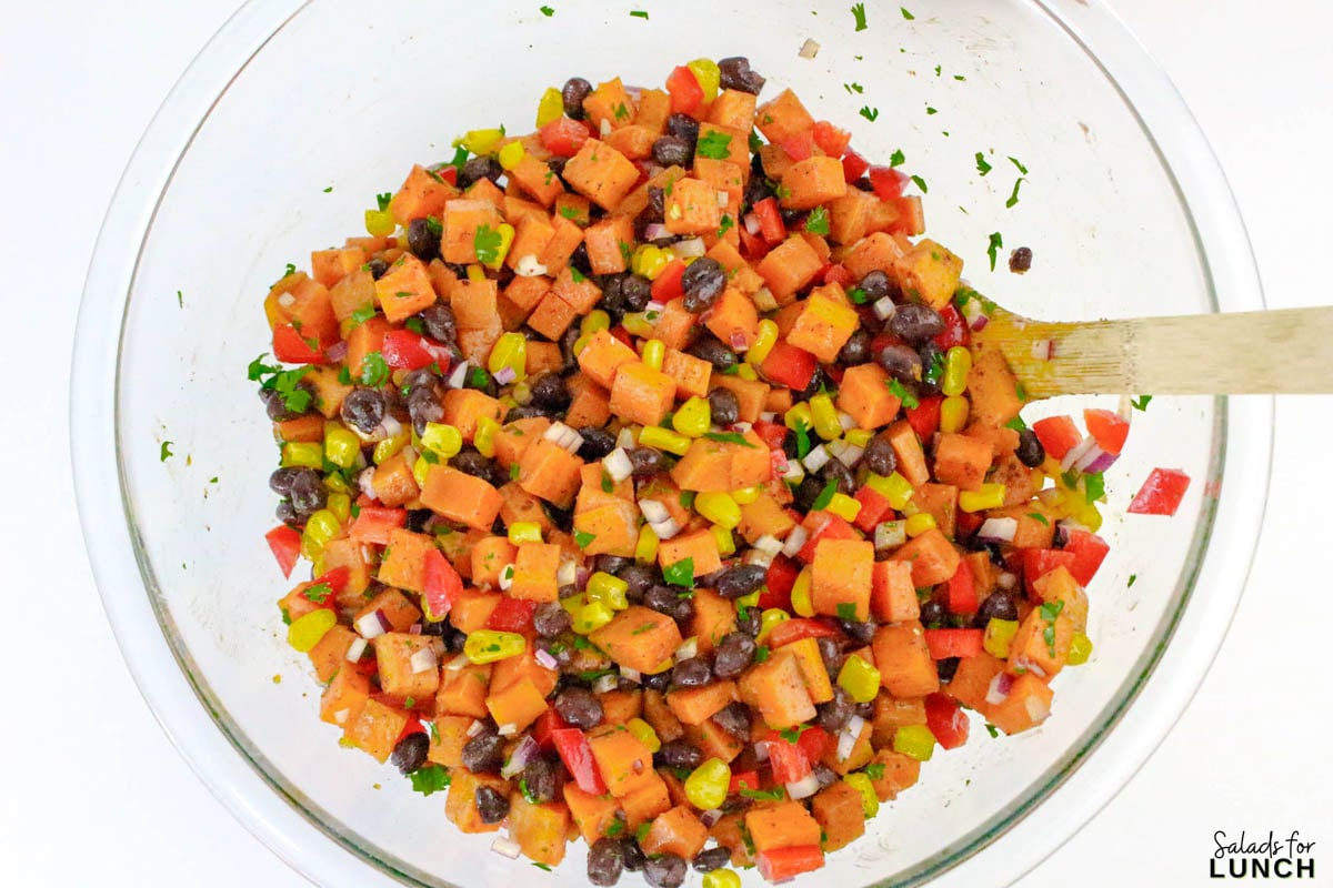 Southwestern Sweet Potato Salad 17 - This easy Southwestern Sweet Potato Salad is full of bright, bold flavors and cozy roasted sweet potatoes that’ll keep you coming back for more. It’s got all the Tex-Mex goodness—corn, black beans, red pepper, cilantro, and a zippy lime dressing that ties everything together. Whether you serve it warm or chill it for later, it makes a tasty and healthy salad that’s perfect for meal prep, picnics, or potlucks.