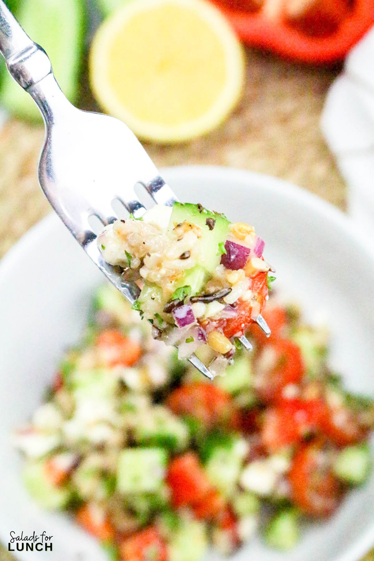 Close up of 7 grain salad on a fork.