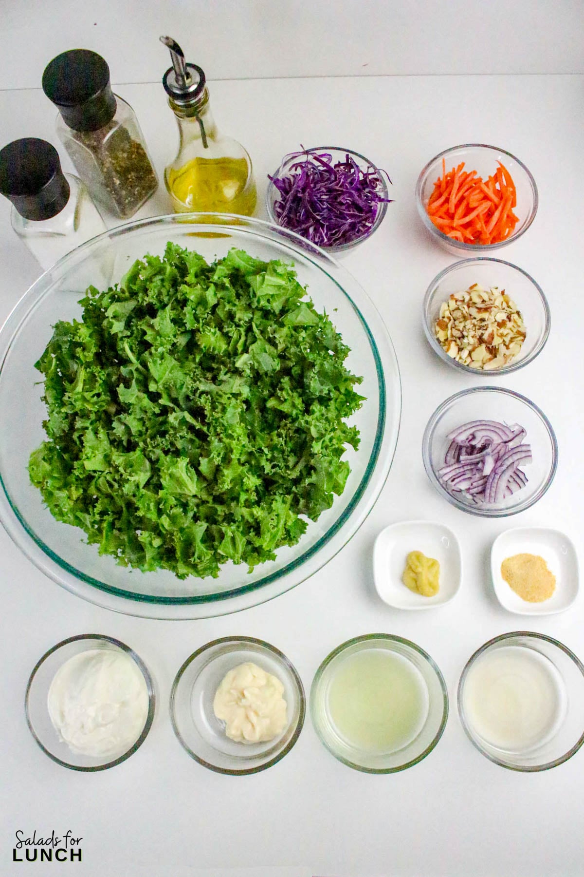 Creamy Kale Salad Recipe 1 - Kale lovers, this one’s for you! This Chopped Kale Salad recipe is crunchy, creamy, and downright crave-worthy. It’s made with tender massaged kale, crisp veggies, and a tangy homemade creamy salad dressing that ties everything together. Whether you’re serving this salad as a side dish or enjoying it as an easy healthy lunch salad recipe, this one’s a winner.