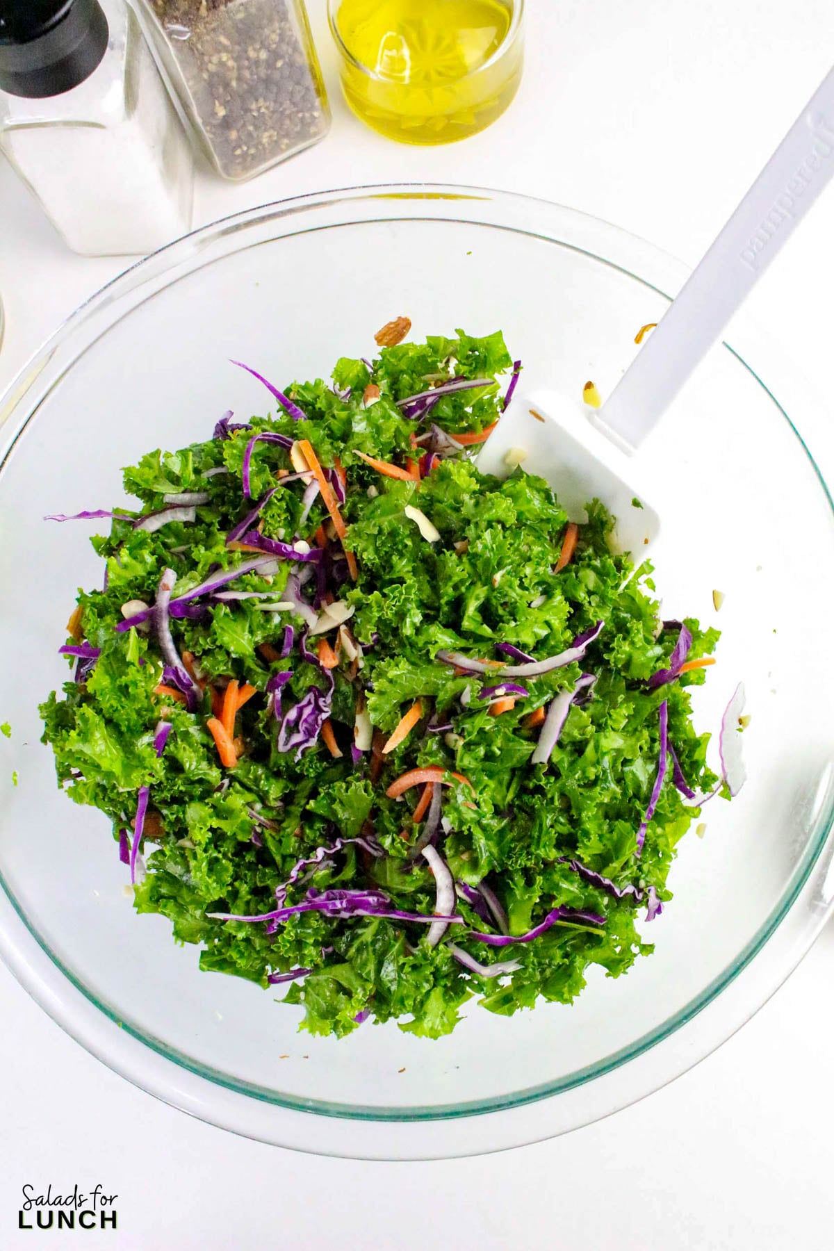 Creamy Kale Salad Recipe 10 - Kale lovers, this one’s for you! This Chopped Kale Salad recipe is crunchy, creamy, and downright crave-worthy. It’s made with tender massaged kale, crisp veggies, and a tangy homemade creamy salad dressing that ties everything together. Whether you’re serving this salad as a side dish or enjoying it as an easy healthy lunch salad recipe, this one’s a winner.