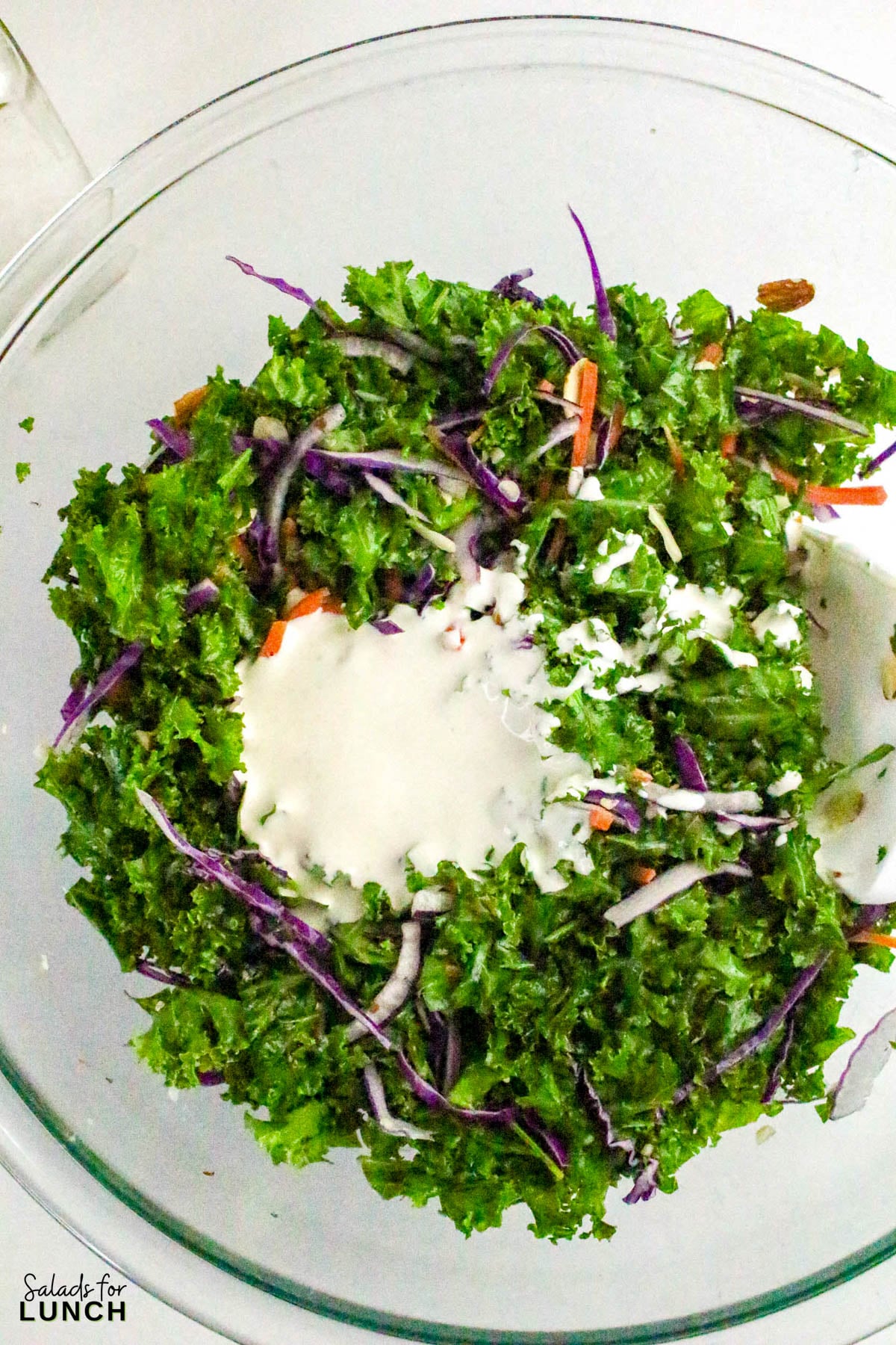 Creamy Kale Salad Recipe 20 - Kale lovers, this one’s for you! This Chopped Kale Salad recipe is crunchy, creamy, and downright crave-worthy. It’s made with tender massaged kale, crisp veggies, and a tangy homemade creamy salad dressing that ties everything together. Whether you’re serving this salad as a side dish or enjoying it as an easy healthy lunch salad recipe, this one’s a winner.