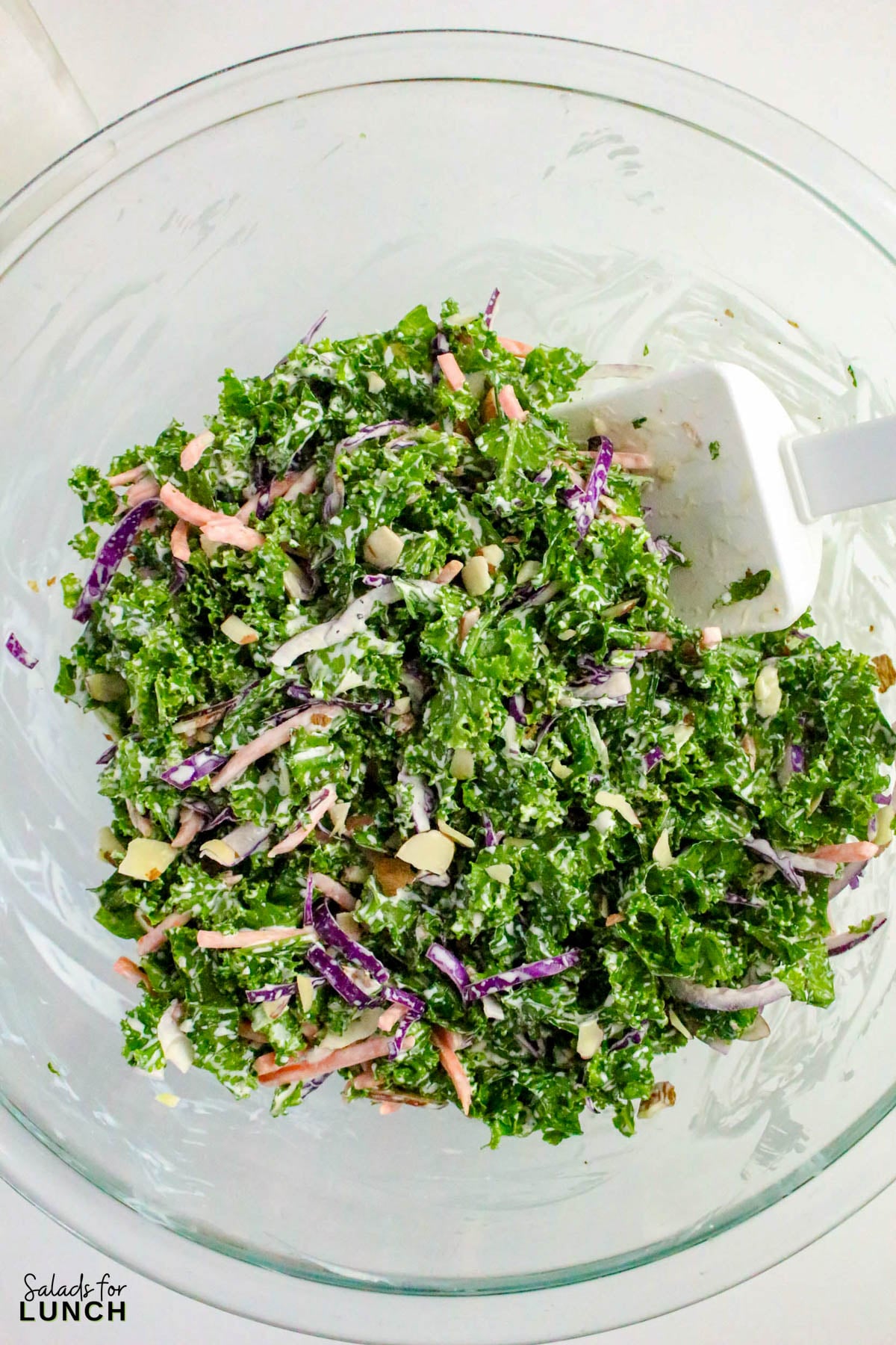 Creamy Kale Salad Recipe 23 - Kale lovers, this one’s for you! This Chopped Kale Salad recipe is crunchy, creamy, and downright crave-worthy. It’s made with tender massaged kale, crisp veggies, and a tangy homemade creamy salad dressing that ties everything together. Whether you’re serving this salad as a side dish or enjoying it as an easy healthy lunch salad recipe, this one’s a winner.
