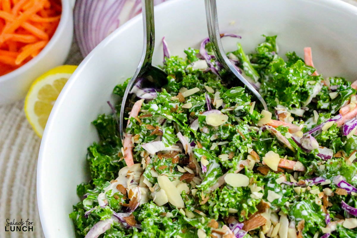 Creamy Kale Salad Recipe 31 - Kale lovers, this one’s for you! This Chopped Kale Salad recipe is crunchy, creamy, and downright crave-worthy. It’s made with tender massaged kale, crisp veggies, and a tangy homemade creamy salad dressing that ties everything together. Whether you’re serving this salad as a side dish or enjoying it as an easy healthy lunch salad recipe, this one’s a winner.