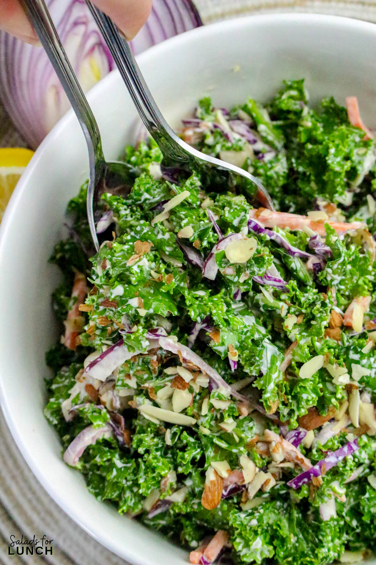 Creamy Kale Salad Recipe 34 - Kale lovers, this one’s for you! This Chopped Kale Salad recipe is crunchy, creamy, and downright crave-worthy. It’s made with tender massaged kale, crisp veggies, and a tangy homemade creamy salad dressing that ties everything together. Whether you’re serving this salad as a side dish or enjoying it as an easy healthy lunch salad recipe, this one’s a winner.