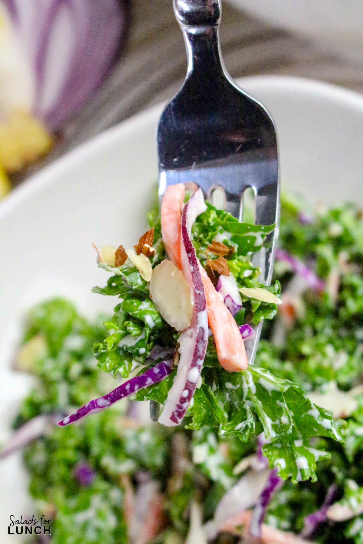 Creamy Kale Salad Recipe 45 - Kale lovers, this one’s for you! This Chopped Kale Salad recipe is crunchy, creamy, and downright crave-worthy. It’s made with tender massaged kale, crisp veggies, and a tangy homemade creamy salad dressing that ties everything together. Whether you’re serving this salad as a side dish or enjoying it as an easy healthy lunch salad recipe, this one’s a winner.