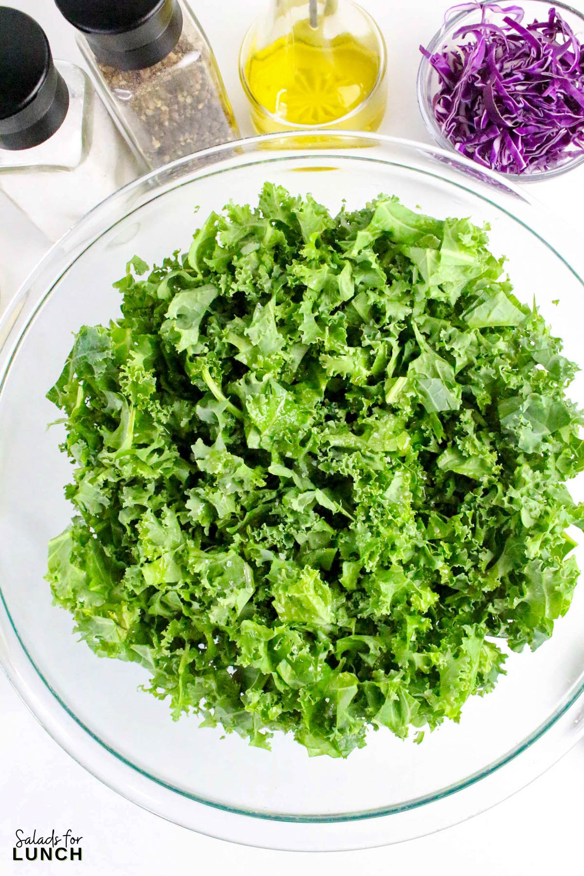 Creamy Kale Salad Recipe 5 - Kale lovers, this one’s for you! This Chopped Kale Salad recipe is crunchy, creamy, and downright crave-worthy. It’s made with tender massaged kale, crisp veggies, and a tangy homemade creamy salad dressing that ties everything together. Whether you’re serving this salad as a side dish or enjoying it as an easy healthy lunch salad recipe, this one’s a winner.