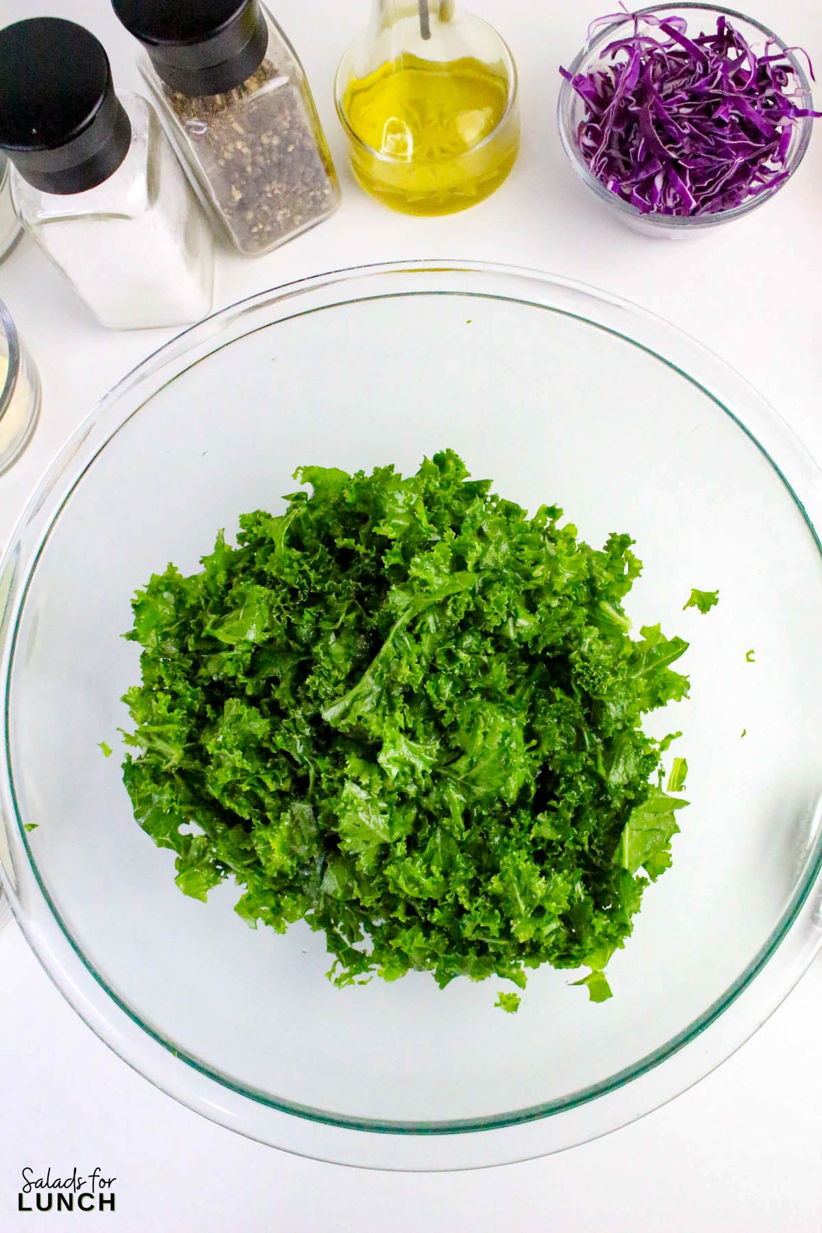 Creamy Kale Salad Recipe 7 - Kale lovers, this one’s for you! This Chopped Kale Salad recipe is crunchy, creamy, and downright crave-worthy. It’s made with tender massaged kale, crisp veggies, and a tangy homemade creamy salad dressing that ties everything together. Whether you’re serving this salad as a side dish or enjoying it as an easy healthy lunch salad recipe, this one’s a winner.