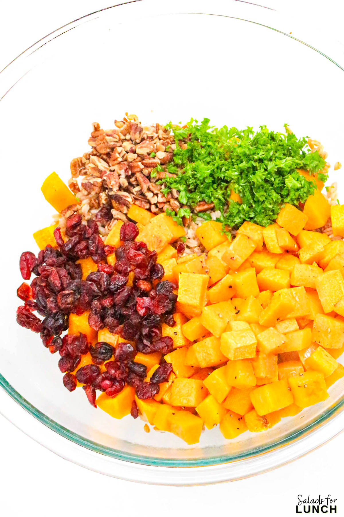 Farro Salad with Roasted Butternut Squash and Cranberries - Farro Butternut Squash and Cranberries Fall Salad 10 Farro Butternut Squash and Cranberries Fall Salad 10 - If youโre looking for a cozy and healthy fall salad recipe thatโs perfect for cooler days, this Farro Salad with Roasted Butternut Squash and Cranberries is the one to make! Itโs packed with warm, nutty farro, tender roasted butternut squash, tangy cranberries, and a maple Dijon vinaigrette that ties everything together beautifully. Itโs hearty enough to serve as a main dish yet light enough to enjoy as a side.