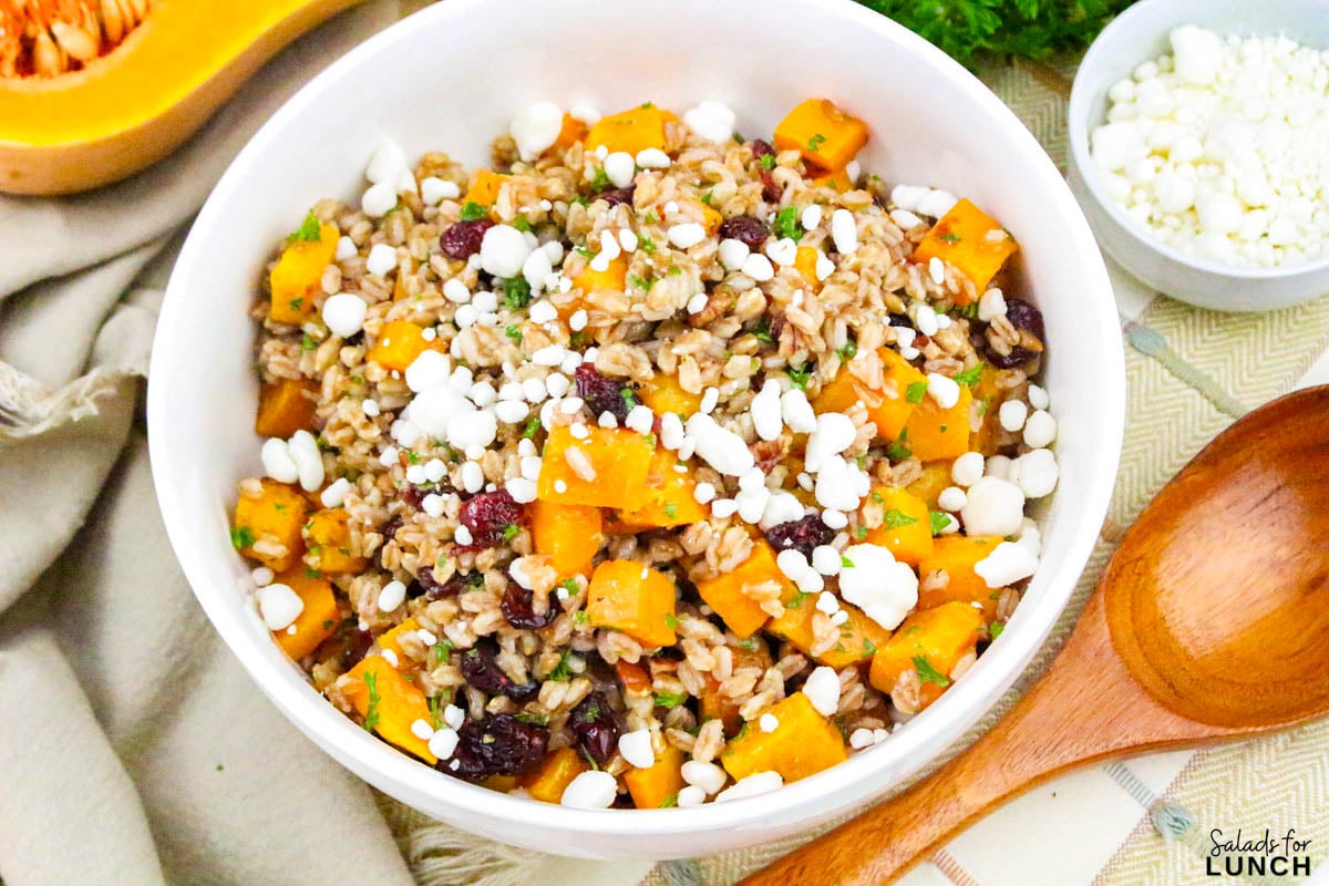 Farro Salad with Roasted Butternut Squash and Cranberries - Farro Butternut Squash and Cranberries Fall Salad 16 Farro Butternut Squash and Cranberries Fall Salad 16 - If youโre looking for a cozy and healthy fall salad recipe thatโs perfect for cooler days, this Farro Salad with Roasted Butternut Squash and Cranberries is the one to make! Itโs packed with warm, nutty farro, tender roasted butternut squash, tangy cranberries, and a maple Dijon vinaigrette that ties everything together beautifully. Itโs hearty enough to serve as a main dish yet light enough to enjoy as a side.