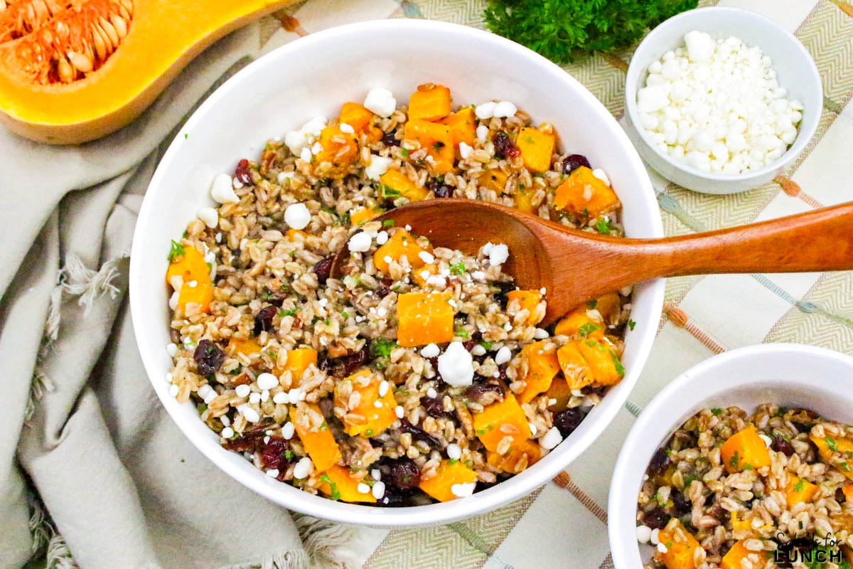 Farro Salad with Roasted Butternut Squash and Cranberries - Farro Butternut Squash and Cranberries Fall Salad 26 Farro Butternut Squash and Cranberries Fall Salad 26 - If youโre looking for a cozy and healthy fall salad recipe thatโs perfect for cooler days, this Farro Salad with Roasted Butternut Squash and Cranberries is the one to make! Itโs packed with warm, nutty farro, tender roasted butternut squash, tangy cranberries, and a maple Dijon vinaigrette that ties everything together beautifully. Itโs hearty enough to serve as a main dish yet light enough to enjoy as a side.
