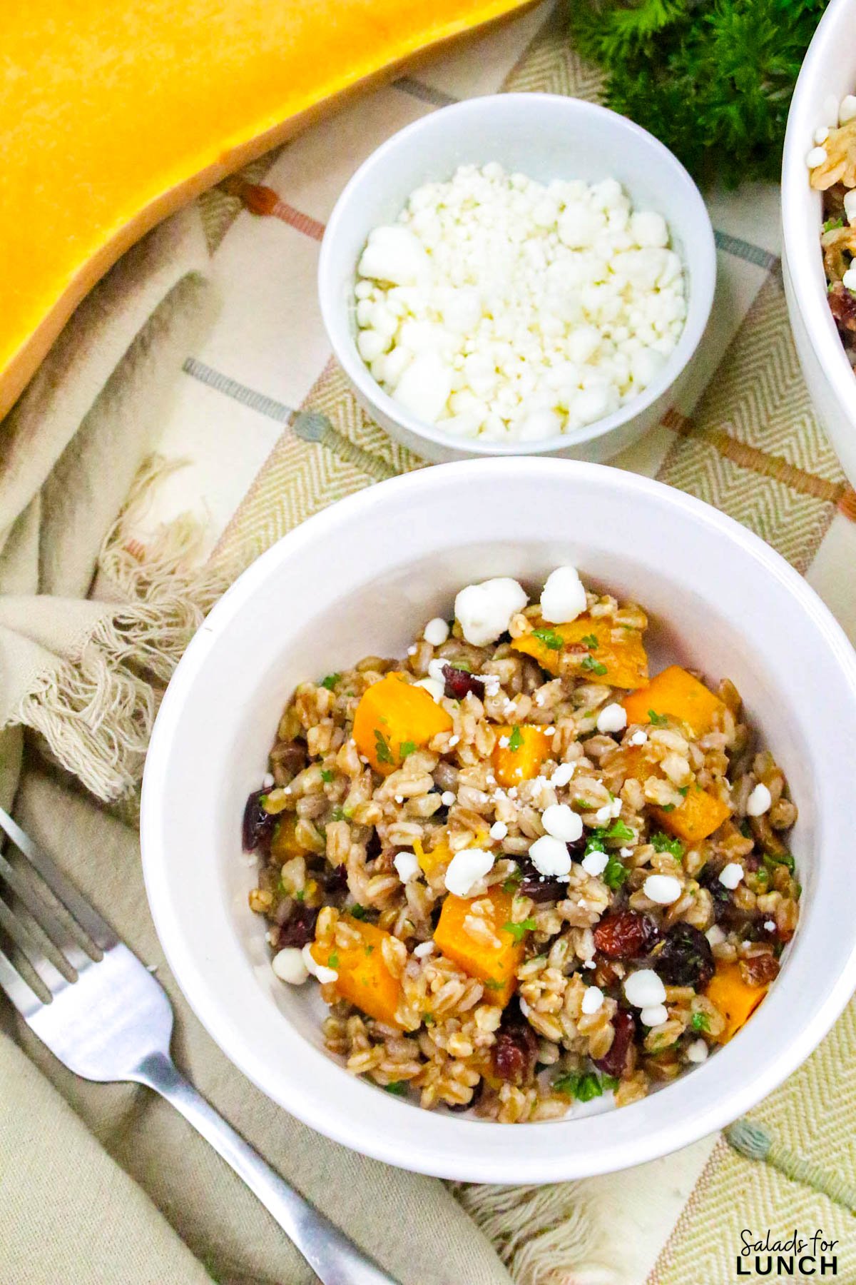 Farro Salad with Roasted Butternut Squash and Cranberries - Farro Butternut Squash and Cranberries Fall Salad 31 Farro Butternut Squash and Cranberries Fall Salad 31 - If youโre looking for a cozy and healthy fall salad recipe thatโs perfect for cooler days, this Farro Salad with Roasted Butternut Squash and Cranberries is the one to make! Itโs packed with warm, nutty farro, tender roasted butternut squash, tangy cranberries, and a maple Dijon vinaigrette that ties everything together beautifully. Itโs hearty enough to serve as a main dish yet light enough to enjoy as a side.