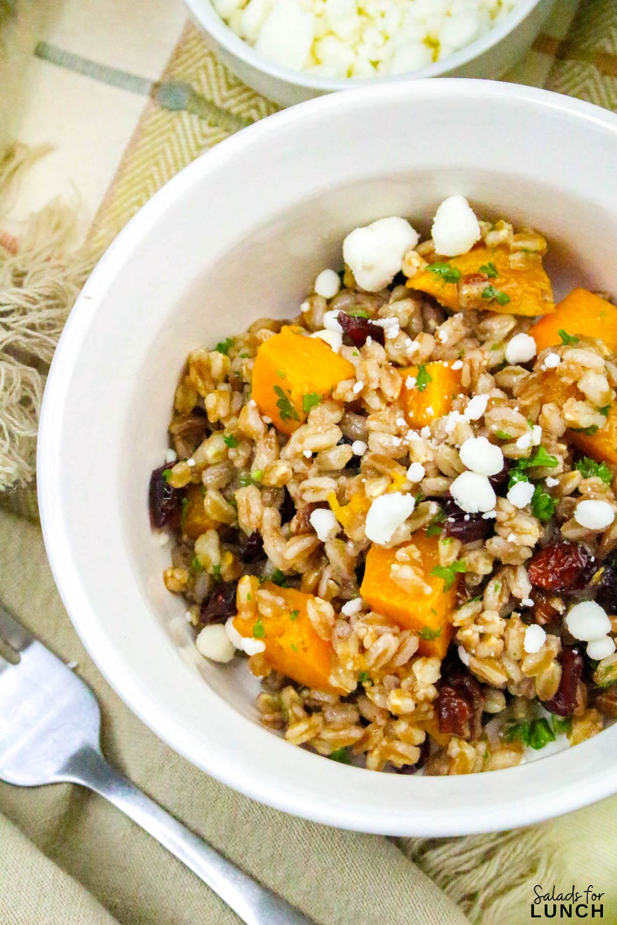 Farro Salad with Roasted Butternut Squash and Cranberries - Farro Butternut Squash and Cranberries Fall Salad 32 Farro Butternut Squash and Cranberries Fall Salad 32 - If youโre looking for a cozy and healthy fall salad recipe thatโs perfect for cooler days, this Farro Salad with Roasted Butternut Squash and Cranberries is the one to make! Itโs packed with warm, nutty farro, tender roasted butternut squash, tangy cranberries, and a maple Dijon vinaigrette that ties everything together beautifully. Itโs hearty enough to serve as a main dish yet light enough to enjoy as a side.
