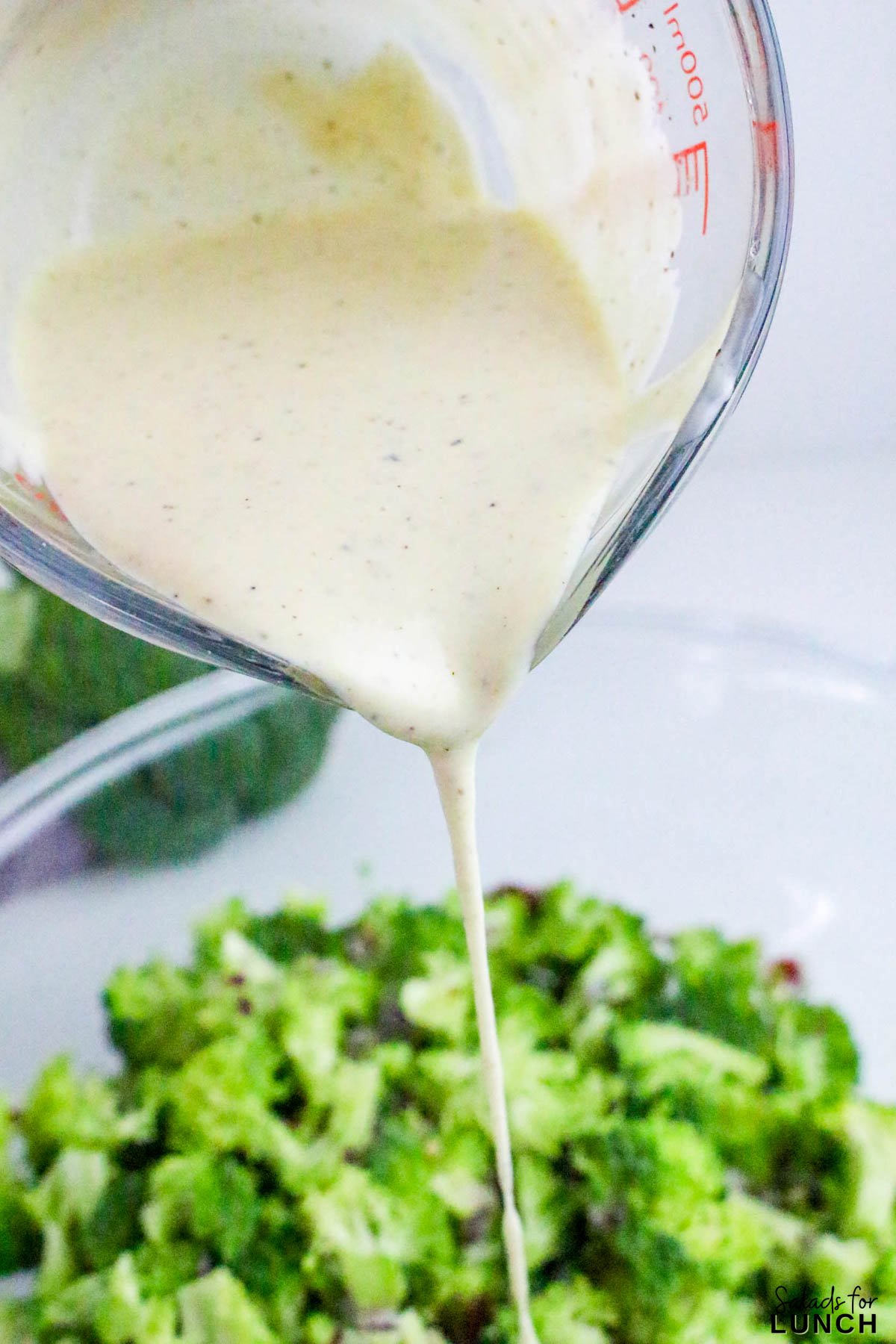 No Mayo Creamy Broccoli Salad Recipe 11 - If you’re looking for a fresh, crunchy, and creamy side dish that doesn’t rely on mayo, this Healthy Broccoli Salad without Mayo is about to become your new go-to. It’s light, tangy, and full of flavor — a refreshing twist on the classic potluck favorite. The secret? A Greek yogurt dressing that brings all the creaminess you crave, without the heaviness of mayonnaise.