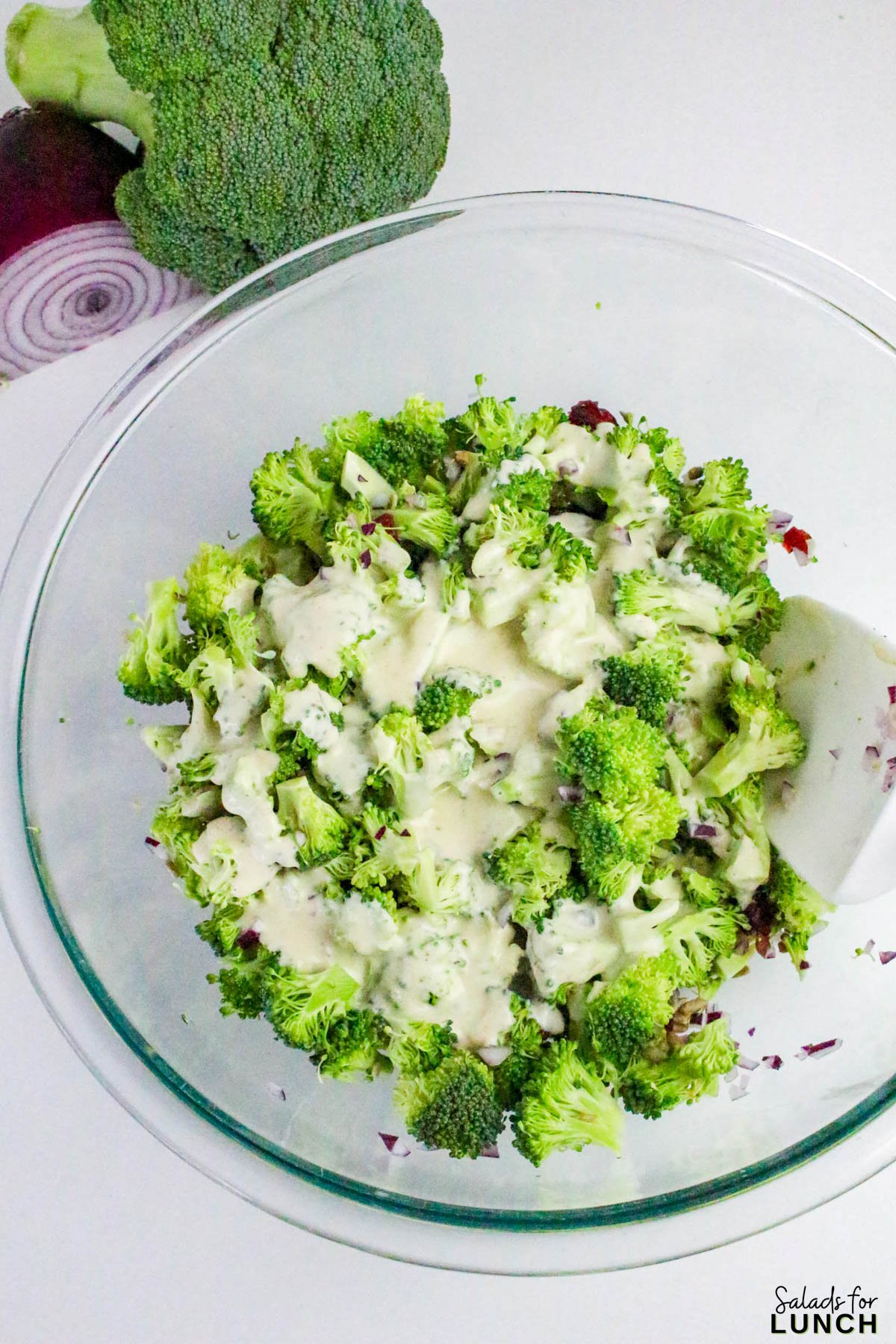 No Mayo Creamy Broccoli Salad Recipe 13 - If you’re looking for a fresh, crunchy, and creamy side dish that doesn’t rely on mayo, this Healthy Broccoli Salad without Mayo is about to become your new go-to. It’s light, tangy, and full of flavor — a refreshing twist on the classic potluck favorite. The secret? A Greek yogurt dressing that brings all the creaminess you crave, without the heaviness of mayonnaise.