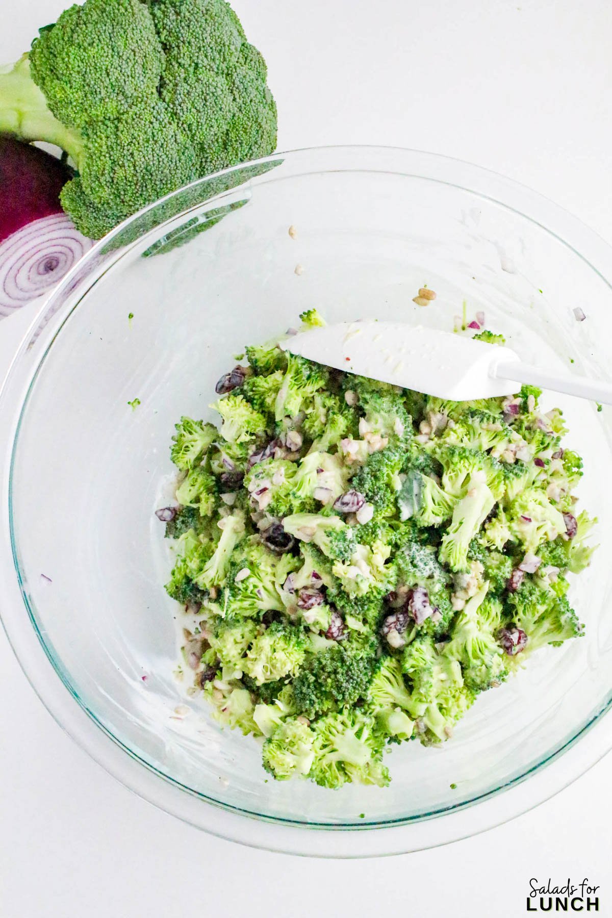 No Mayo Creamy Broccoli Salad Recipe 15 - If you’re looking for a fresh, crunchy, and creamy side dish that doesn’t rely on mayo, this Healthy Broccoli Salad without Mayo is about to become your new go-to. It’s light, tangy, and full of flavor — a refreshing twist on the classic potluck favorite. The secret? A Greek yogurt dressing that brings all the creaminess you crave, without the heaviness of mayonnaise.