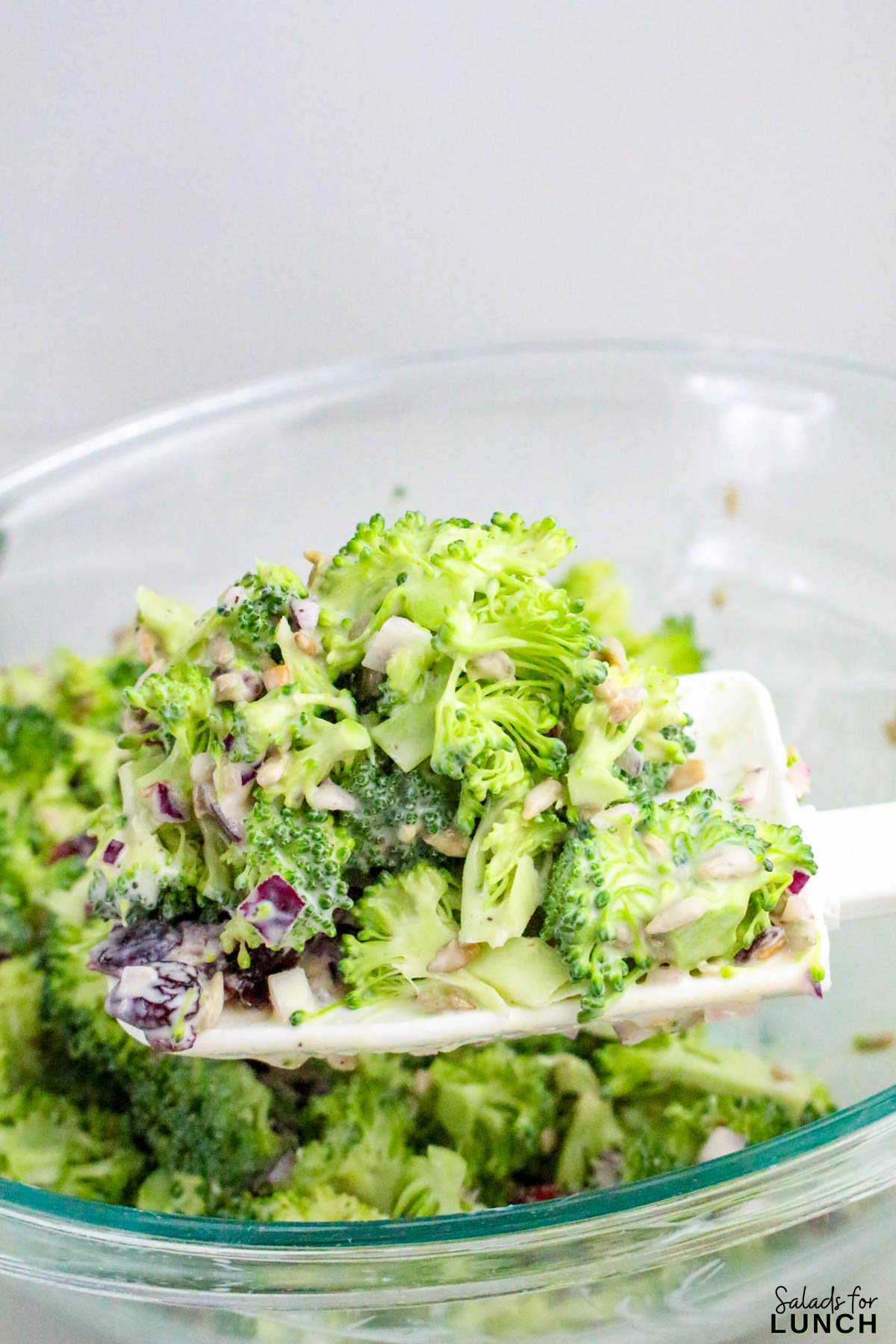 No Mayo Creamy Broccoli Salad Recipe 18 - If you’re looking for a fresh, crunchy, and creamy side dish that doesn’t rely on mayo, this Healthy Broccoli Salad without Mayo is about to become your new go-to. It’s light, tangy, and full of flavor — a refreshing twist on the classic potluck favorite. The secret? A Greek yogurt dressing that brings all the creaminess you crave, without the heaviness of mayonnaise.