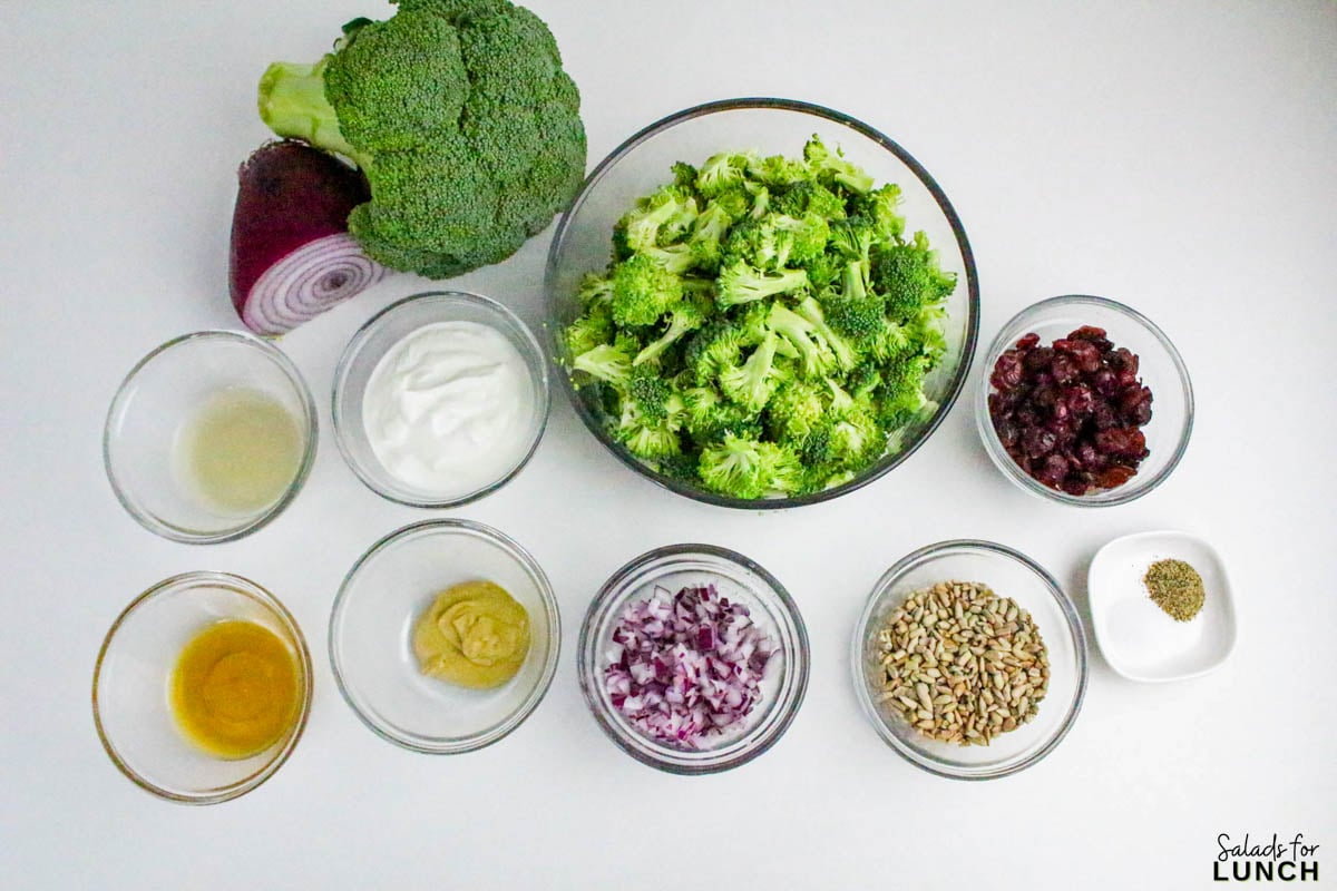 No Mayo Creamy Broccoli Salad Recipe 2 - If you’re looking for a fresh, crunchy, and creamy side dish that doesn’t rely on mayo, this Healthy Broccoli Salad without Mayo is about to become your new go-to. It’s light, tangy, and full of flavor — a refreshing twist on the classic potluck favorite. The secret? A Greek yogurt dressing that brings all the creaminess you crave, without the heaviness of mayonnaise.