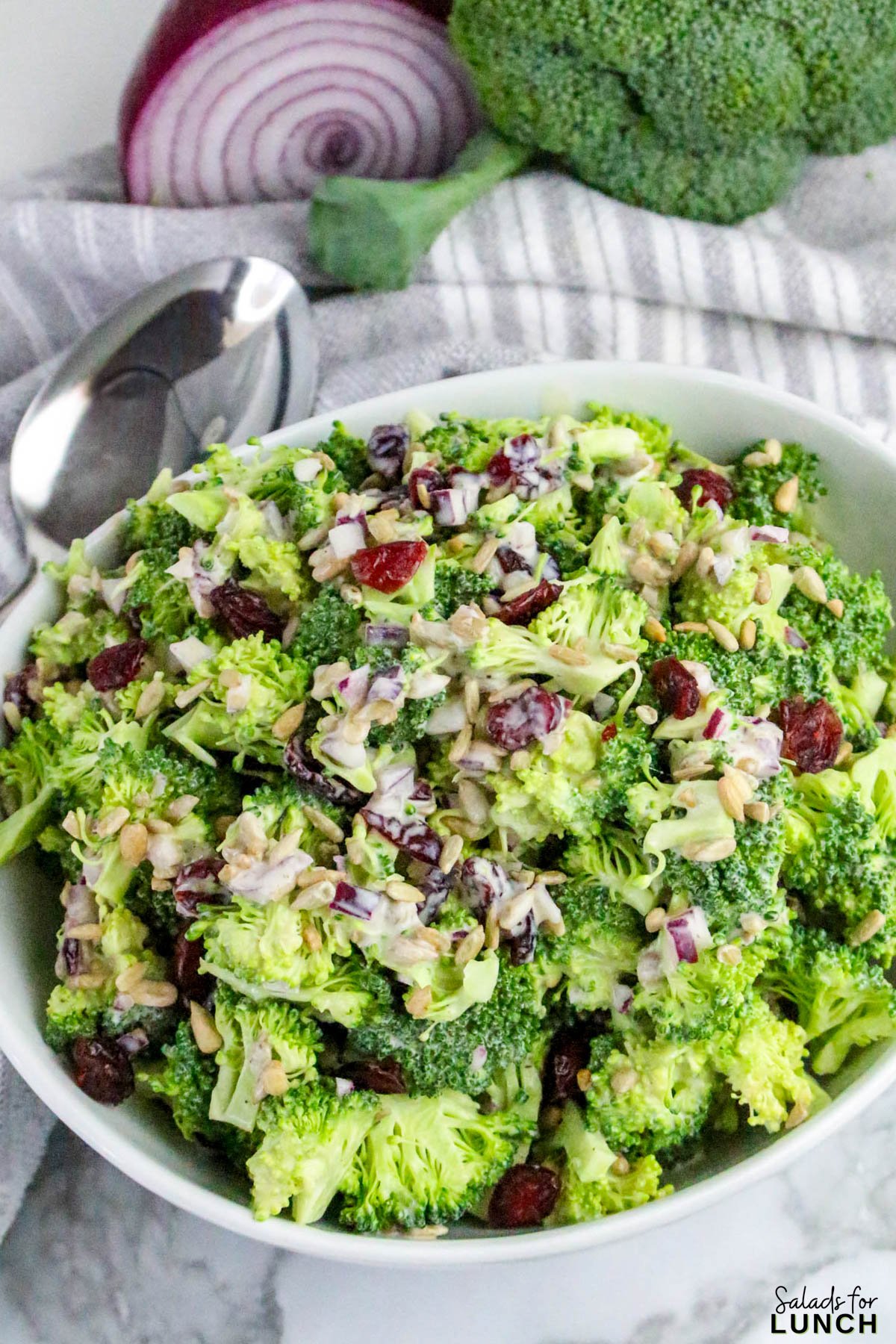 No Mayo Creamy Broccoli Salad Recipe 23 - If you’re looking for a fresh, crunchy, and creamy side dish that doesn’t rely on mayo, this Healthy Broccoli Salad without Mayo is about to become your new go-to. It’s light, tangy, and full of flavor — a refreshing twist on the classic potluck favorite. The secret? A Greek yogurt dressing that brings all the creaminess you crave, without the heaviness of mayonnaise.