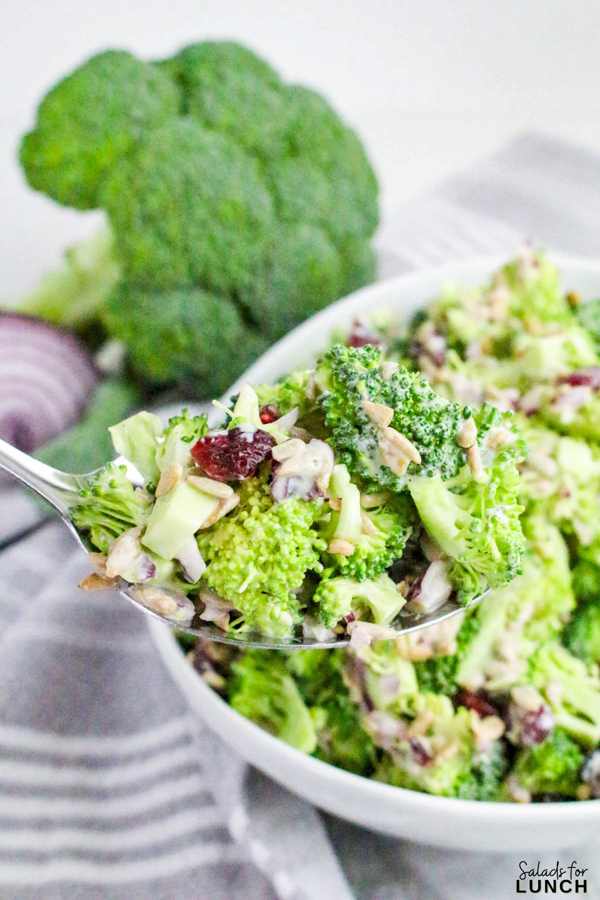No Mayo Creamy Broccoli Salad Recipe 32 - If you’re looking for a fresh, crunchy, and creamy side dish that doesn’t rely on mayo, this Healthy Broccoli Salad without Mayo is about to become your new go-to. It’s light, tangy, and full of flavor — a refreshing twist on the classic potluck favorite. The secret? A Greek yogurt dressing that brings all the creaminess you crave, without the heaviness of mayonnaise.