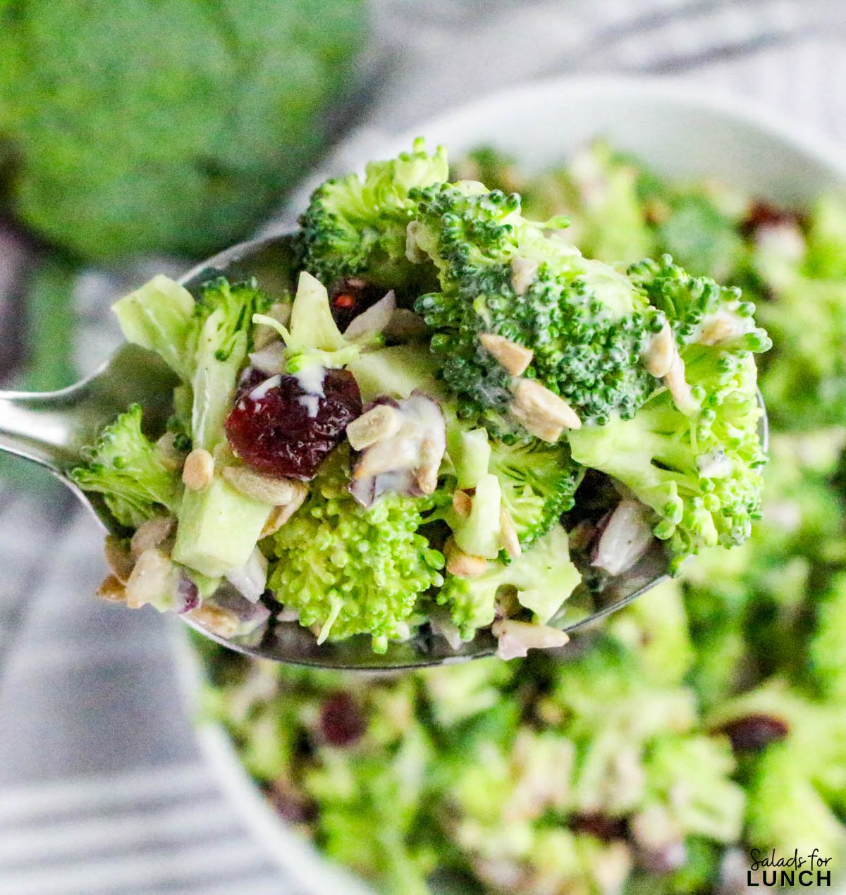 No Mayo Creamy Broccoli Salad Recipe 38 - If you’re looking for a fresh, crunchy, and creamy side dish that doesn’t rely on mayo, this Healthy Broccoli Salad without Mayo is about to become your new go-to. It’s light, tangy, and full of flavor — a refreshing twist on the classic potluck favorite. The secret? A Greek yogurt dressing that brings all the creaminess you crave, without the heaviness of mayonnaise.