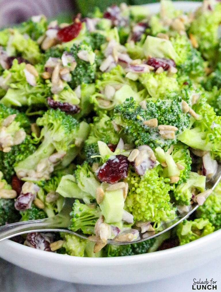 Healthy Broccoli Salad without Mayo (Made with Greek Yogurt!)