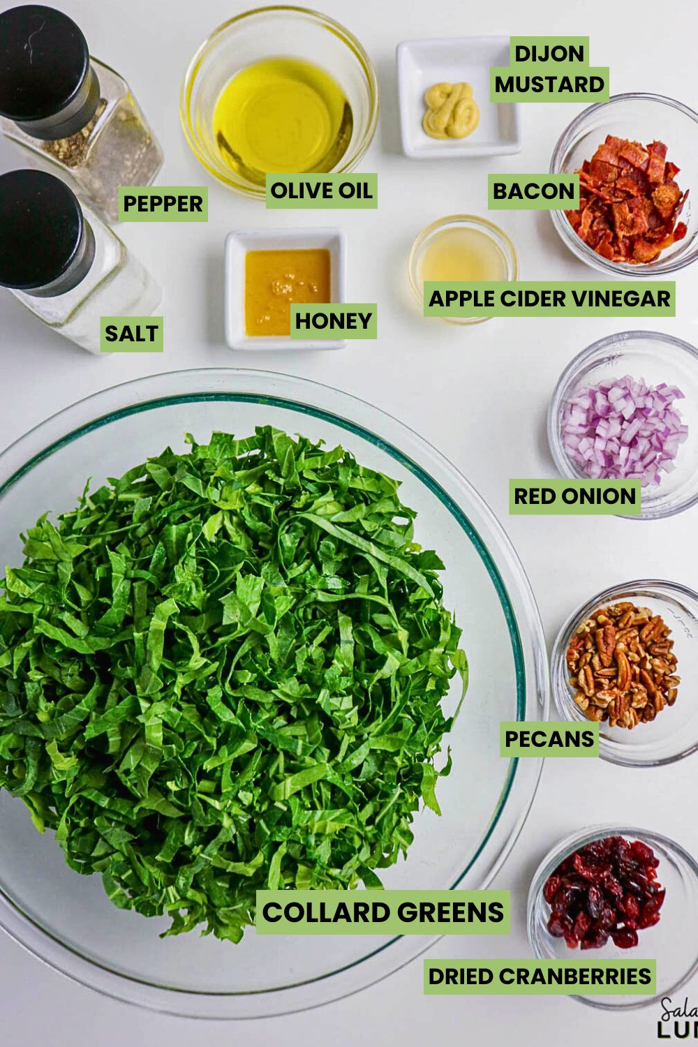Overhead photo showing the ingredients in a Collard Greens Salad, including: Olive Oil, Mustard, Apple Cider Vinegar, Honey, Bacon, Red Onion, Pecans, Dried Cranberries, Collard Greens, Salt and Pepper.