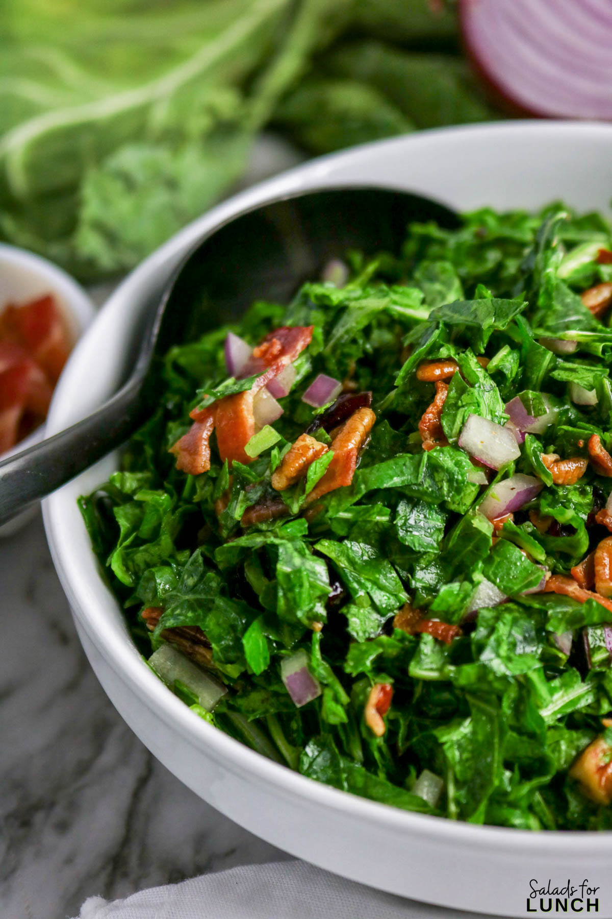 Collard Greens Salad Recipe 15 - If you’ve been looking for a fresh way to enjoy collard greens in salad form, this bowl is a tasty place to start. It’s crisp, hearty, and packed with flavor, and it’s a great pick when you want a healthy collard greens salad recipe that’s quick to throw together. The sturdy greens hold up beautifully, so you don’t have to worry about them wilting before dinnertime. This one easily fits the vibe if you’re after a collard greens salad recipe easy enough for weeknights but special enough for weekends.