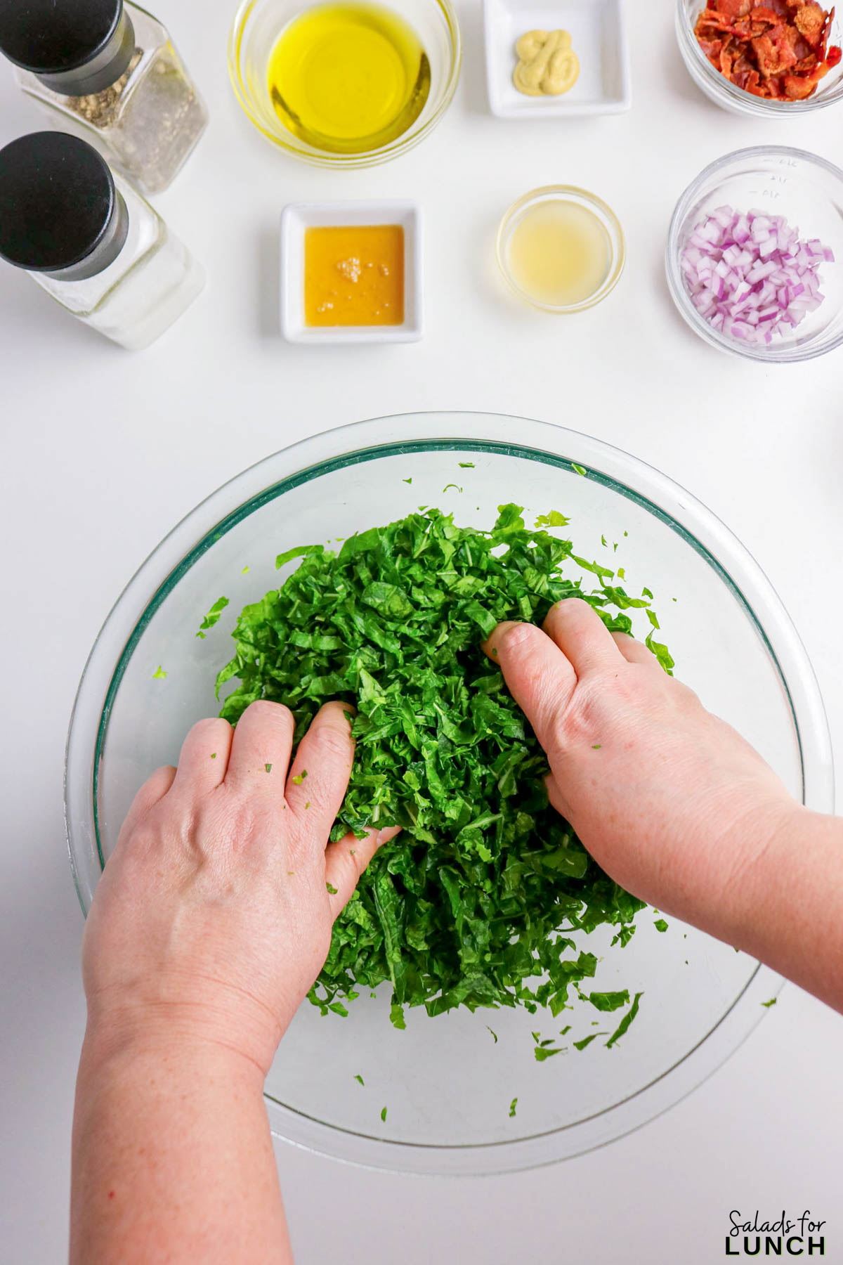 Collard Greens Salad Recipe 2 - If you’ve been looking for a fresh way to enjoy collard greens in salad form, this bowl is a tasty place to start. It’s crisp, hearty, and packed with flavor, and it’s a great pick when you want a healthy collard greens salad recipe that’s quick to throw together. The sturdy greens hold up beautifully, so you don’t have to worry about them wilting before dinnertime. This one easily fits the vibe if you’re after a collard greens salad recipe easy enough for weeknights but special enough for weekends.